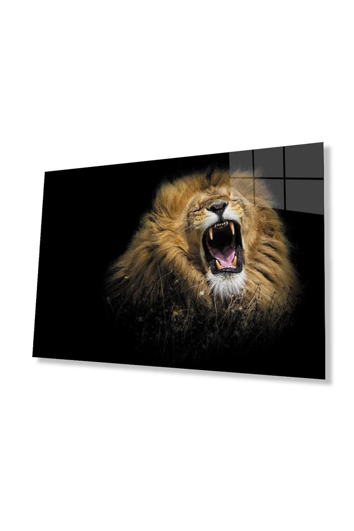 Aslan Cam Tablo 4mm Dayanıklı Temperli Cam