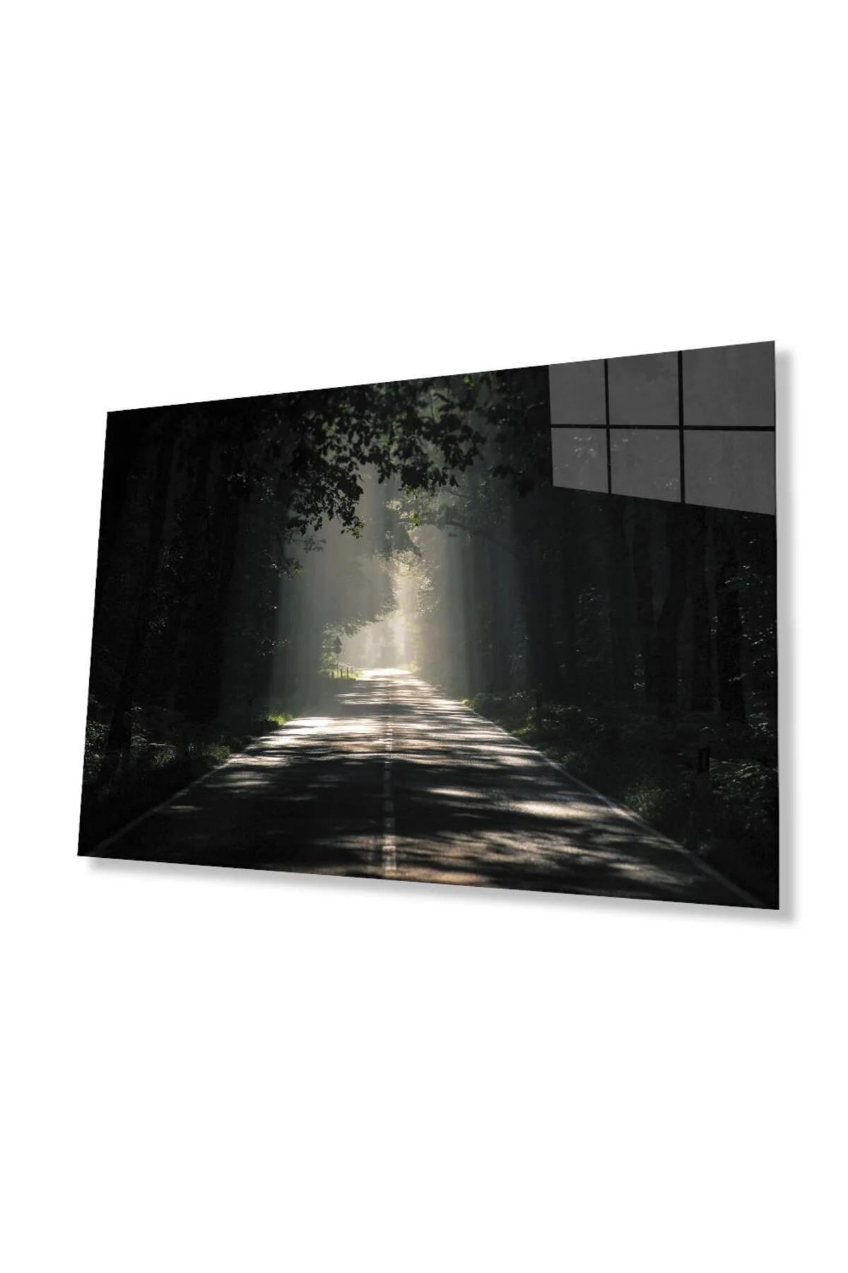 Ağaçlı Yol Cam Tablo 4mm Dayanıklı Temperli Cam Parkway Glass Wall Art