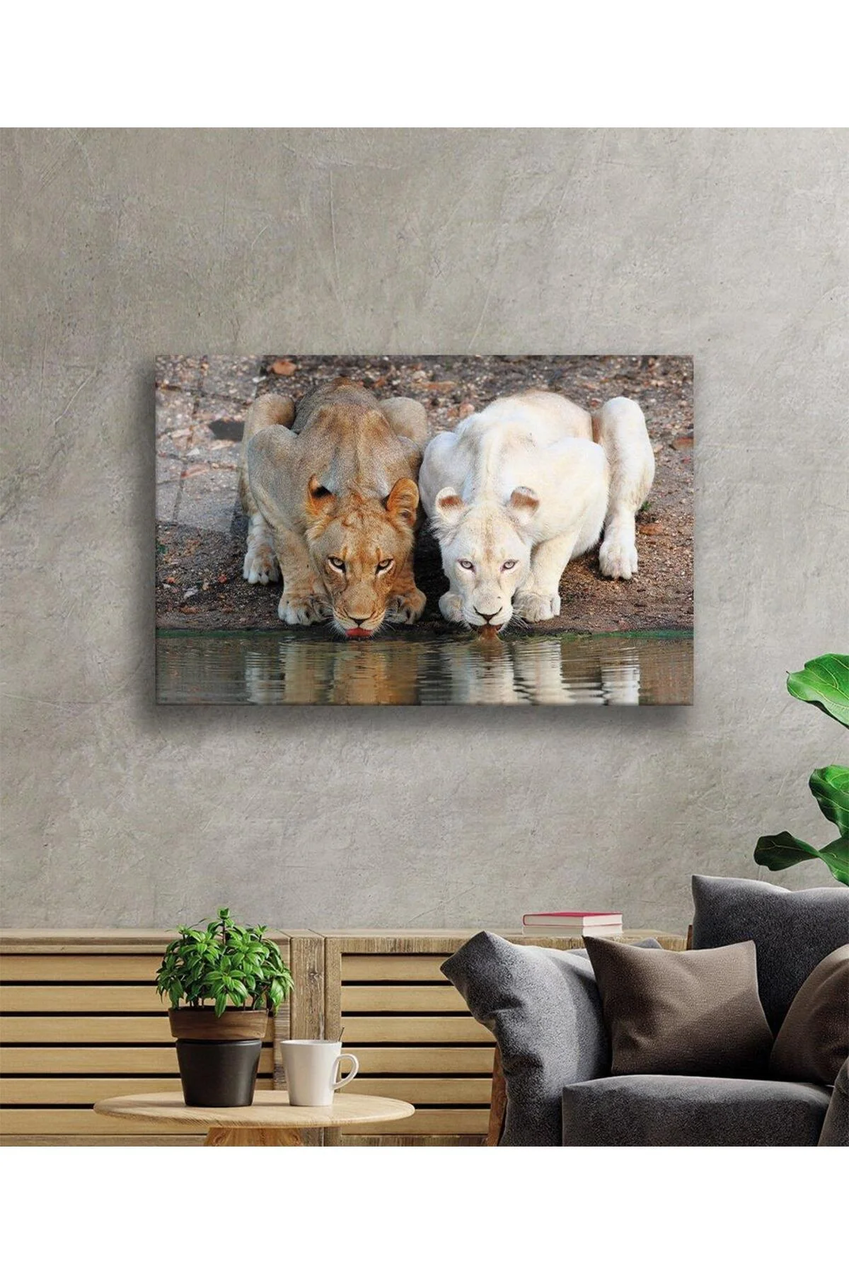 Aslan Cam Tablo 4mm Dayanıklı Temperli Cam - BYCAGRİ Görsel 2