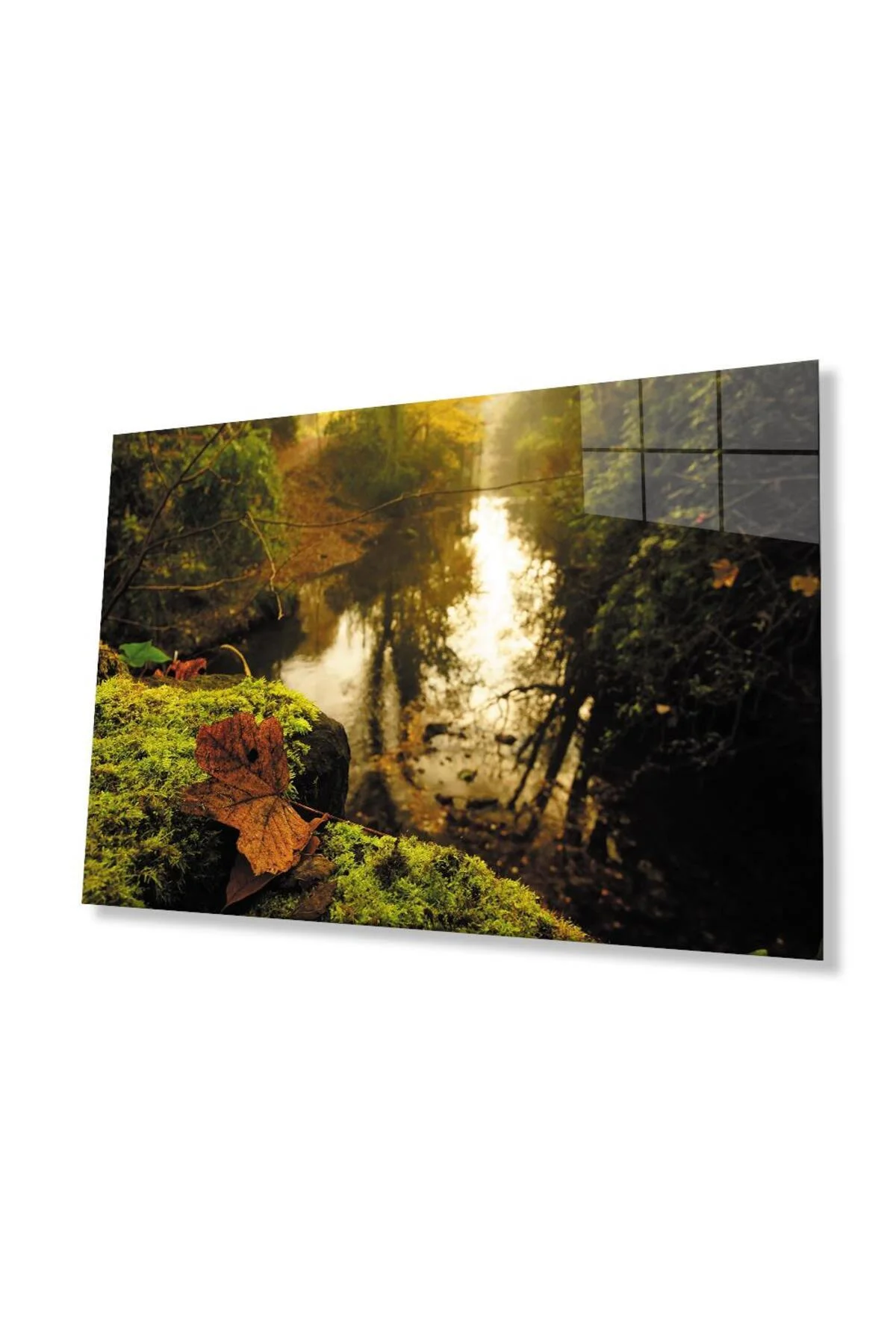 Ağaçlar Yaprak Manzara Cam Tablo 4mm Dayanıklı Temperli Cam trees leaf landscape Glass Wall Art