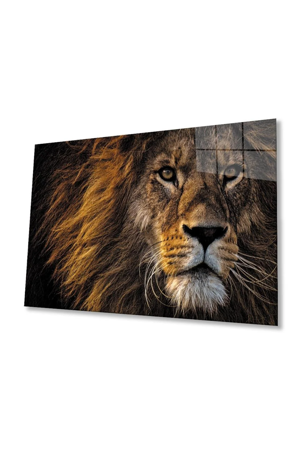 Aslan Cam Tablo