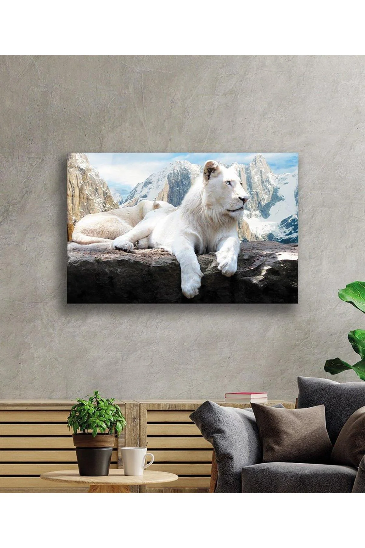 Aslan Cam Tablo 4mm Dayanıklı Temperli Cam - BYCAGRİ Görsel 2