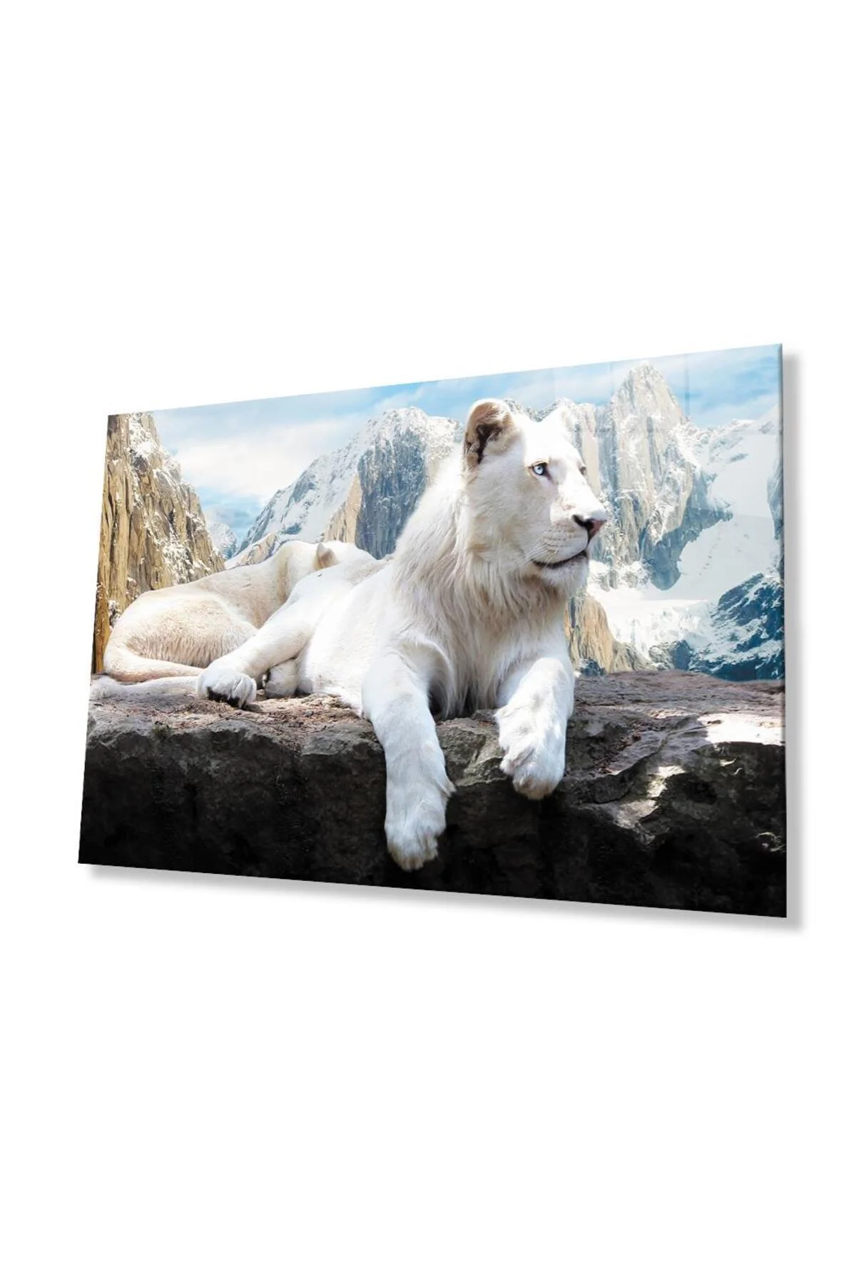 Aslan Cam Tablo 4mm Dayanıklı Temperli Cam