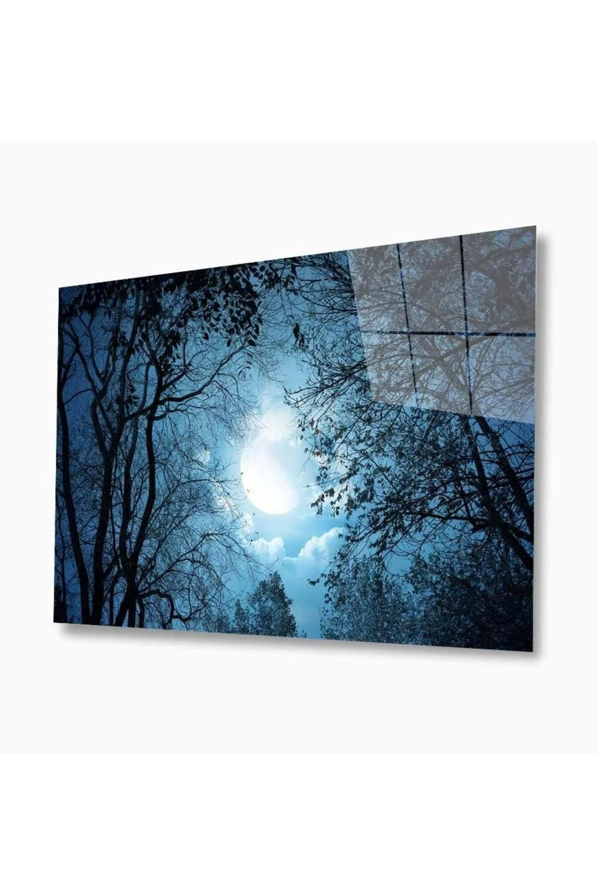 Doğa Cam Tablo 4mm Dayanıklı Temperli Cam
