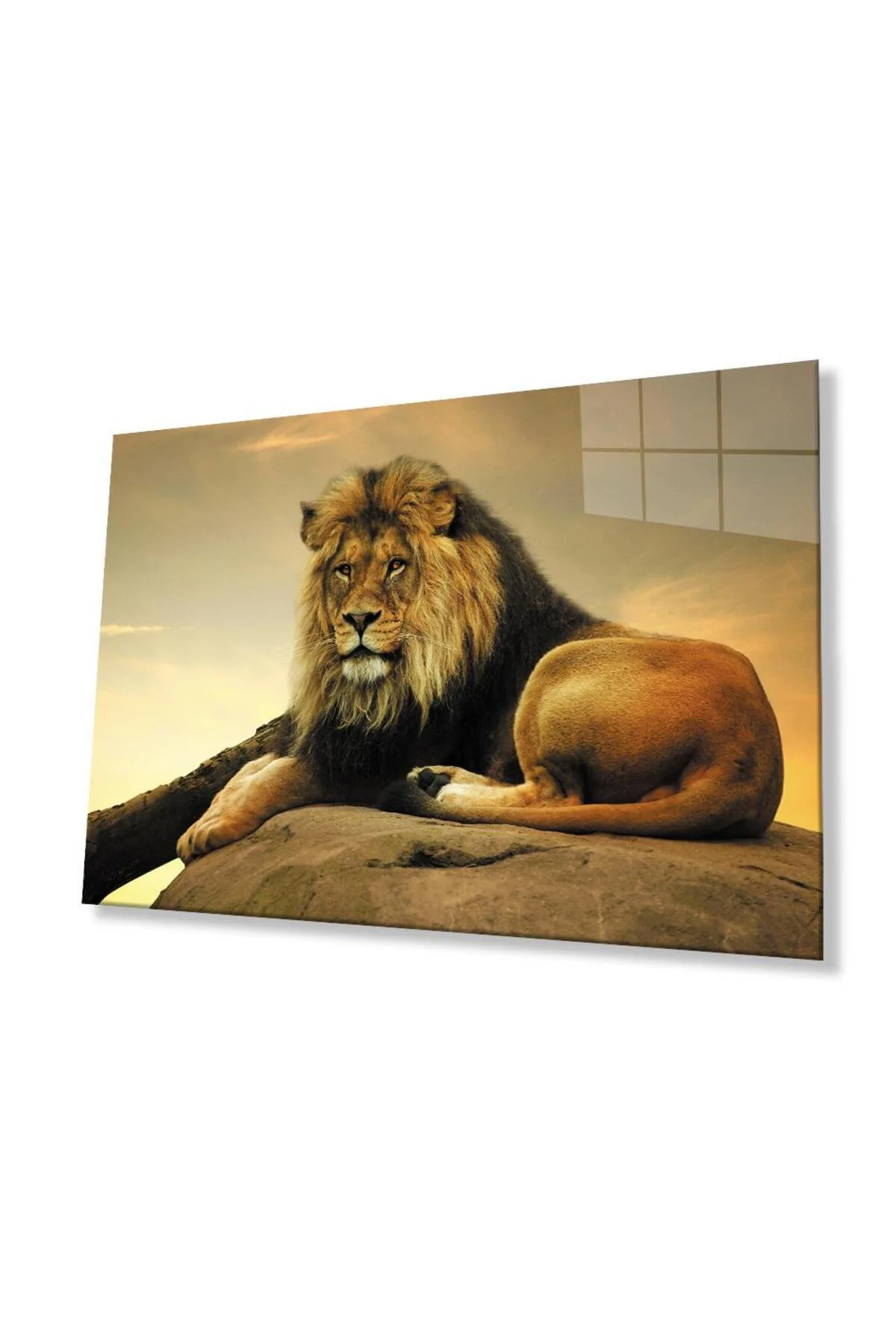 Aslan Cam Tablo 4mm Dayanıklı Temperli Cam