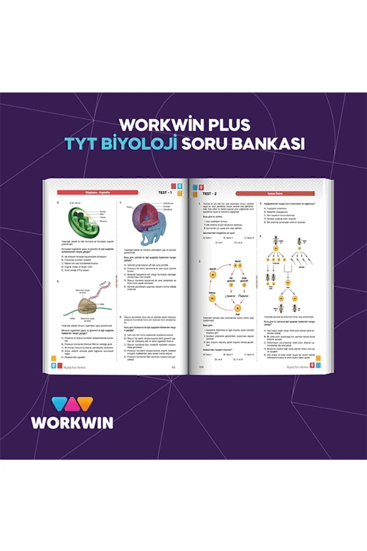 TYT Biyoloji Yeni Nesil Soru Bankası Workwin Plus - workwin Görsel 4
