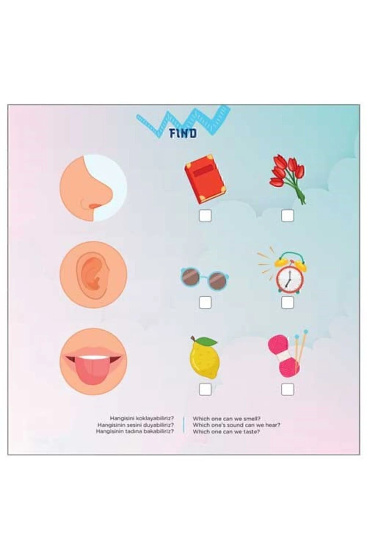 FIND 3+ Yaş | IQ Dikkat ve Yetenek Geliştiren Kitaplar Serisi - TÜZDER Yayınları Görsel 4