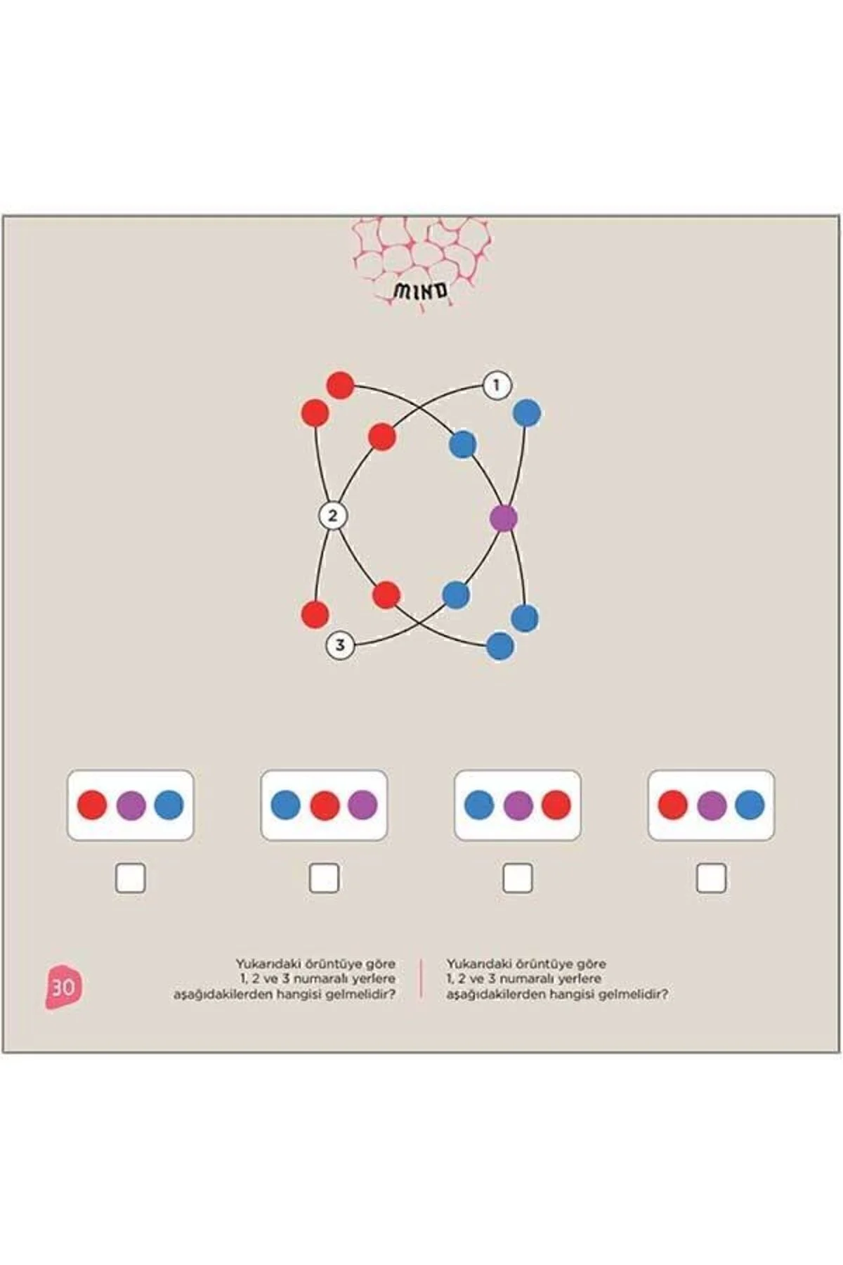 MIND 9+ Yaş | IQ, Dikkat ve Yetenek Geliştiren Kitaplar Serisi - TÜZDER Yayınları Görsel 4