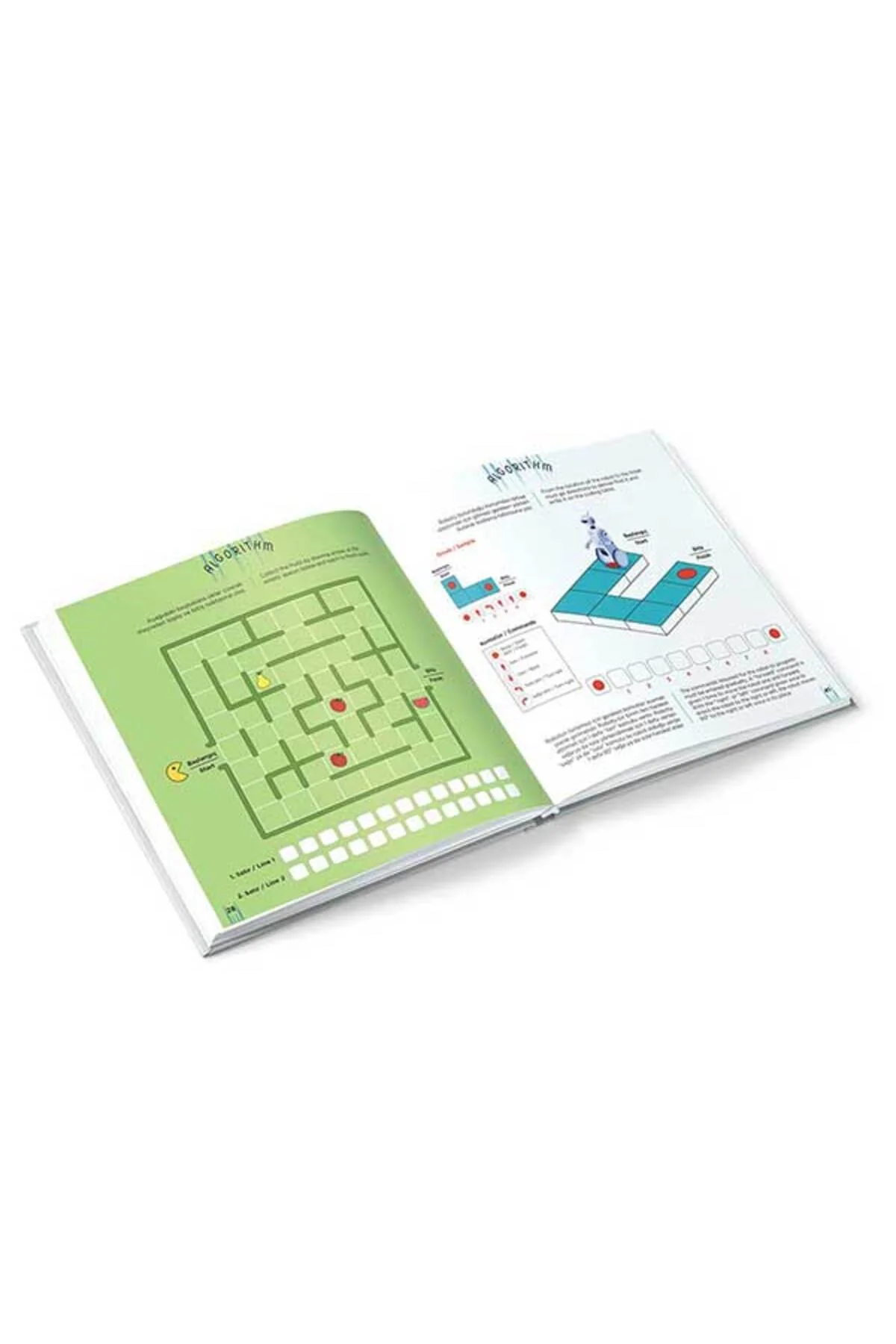 6+ Yaş Level-3 | IQ Dikkat Ve Yetenek Geliştiren Kitaplar Serisi - TÜZDER Yayınları Görsel 3
