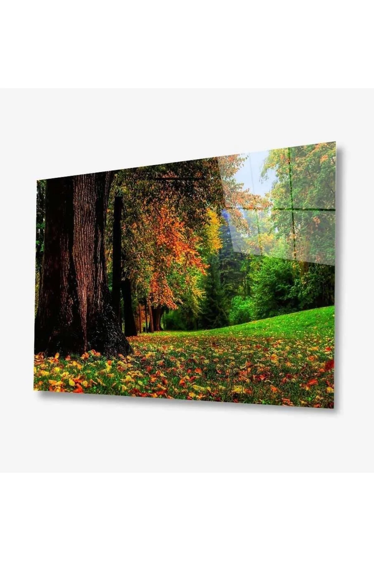 Doğa Cam Tablo 4mm Dayanıklı Temperli Cam