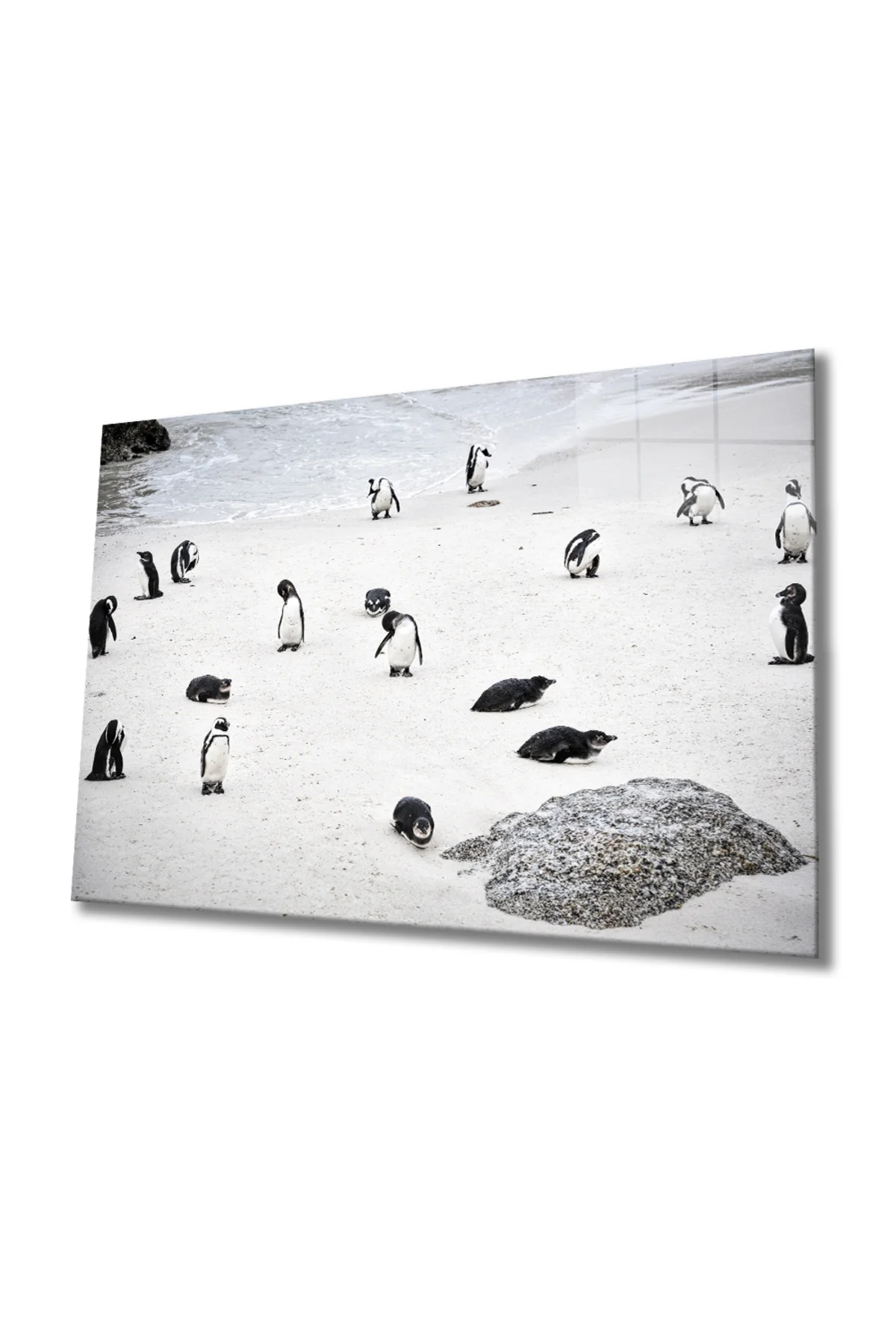 Penguen Cam Tablo