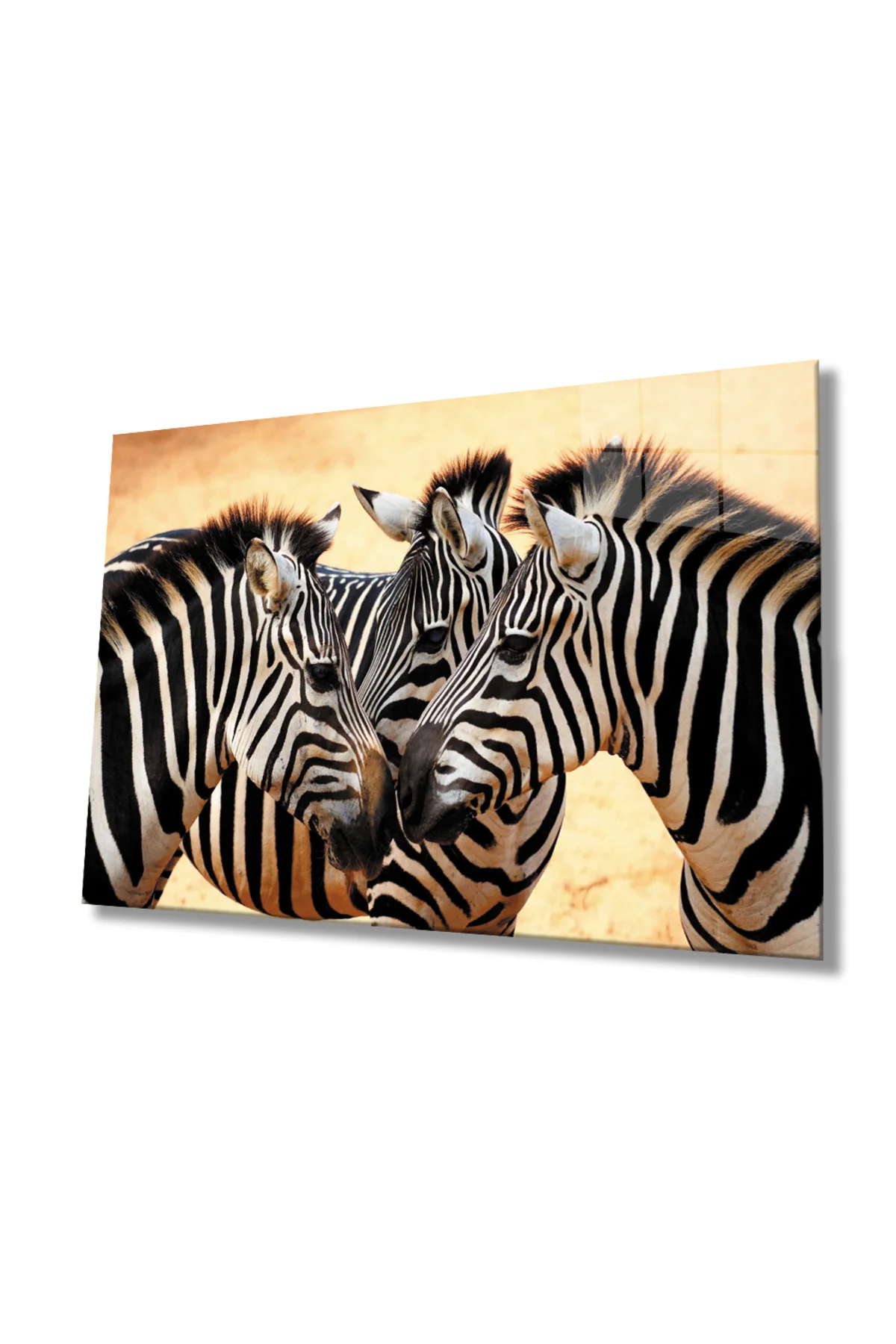 Zebra Hayvan Cam Tablo 4mm Dayanıklı Temperli Cam