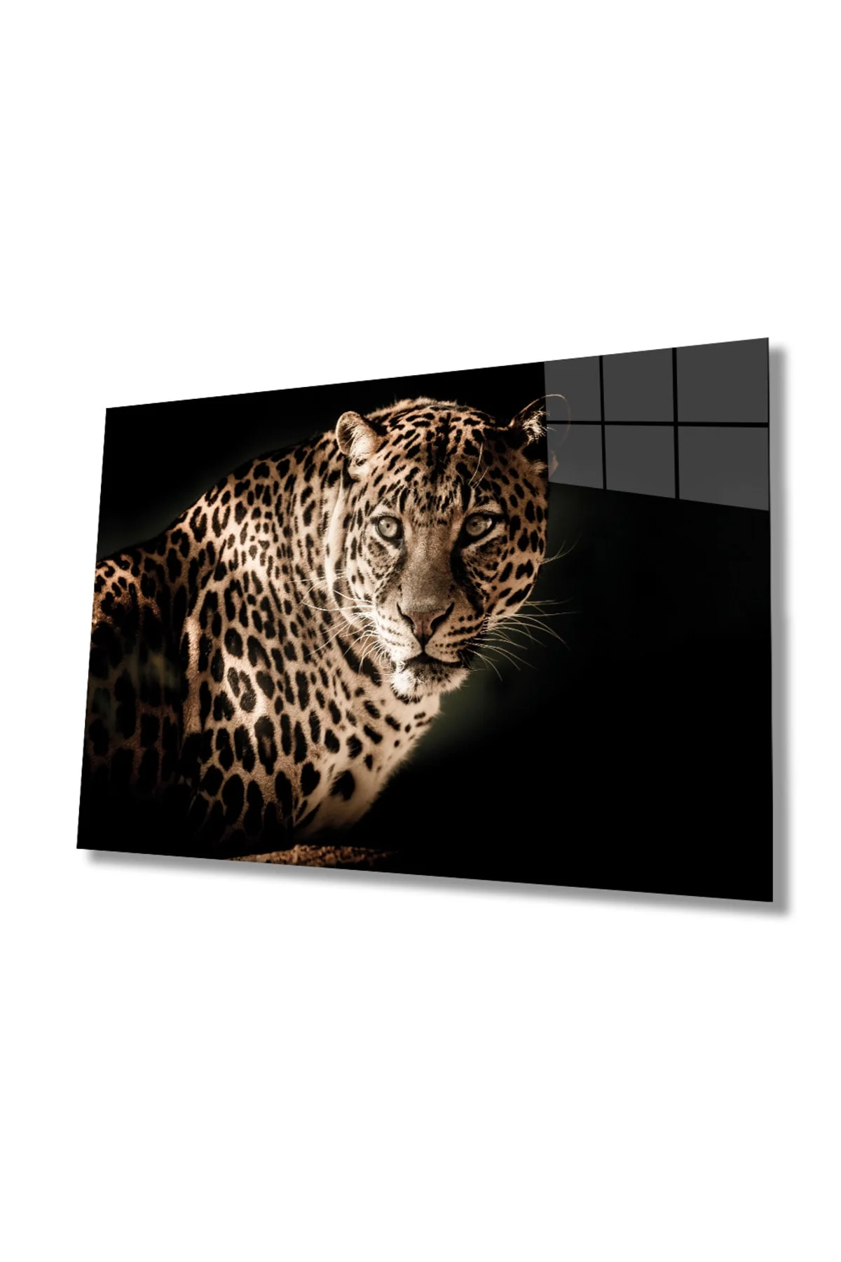 Leopar Hayvan Portresi Cam Tablo, Ev ve Ofis Duvar Dekoru, Hediyelik Büyük Temperli 4 mm Cam Tablo