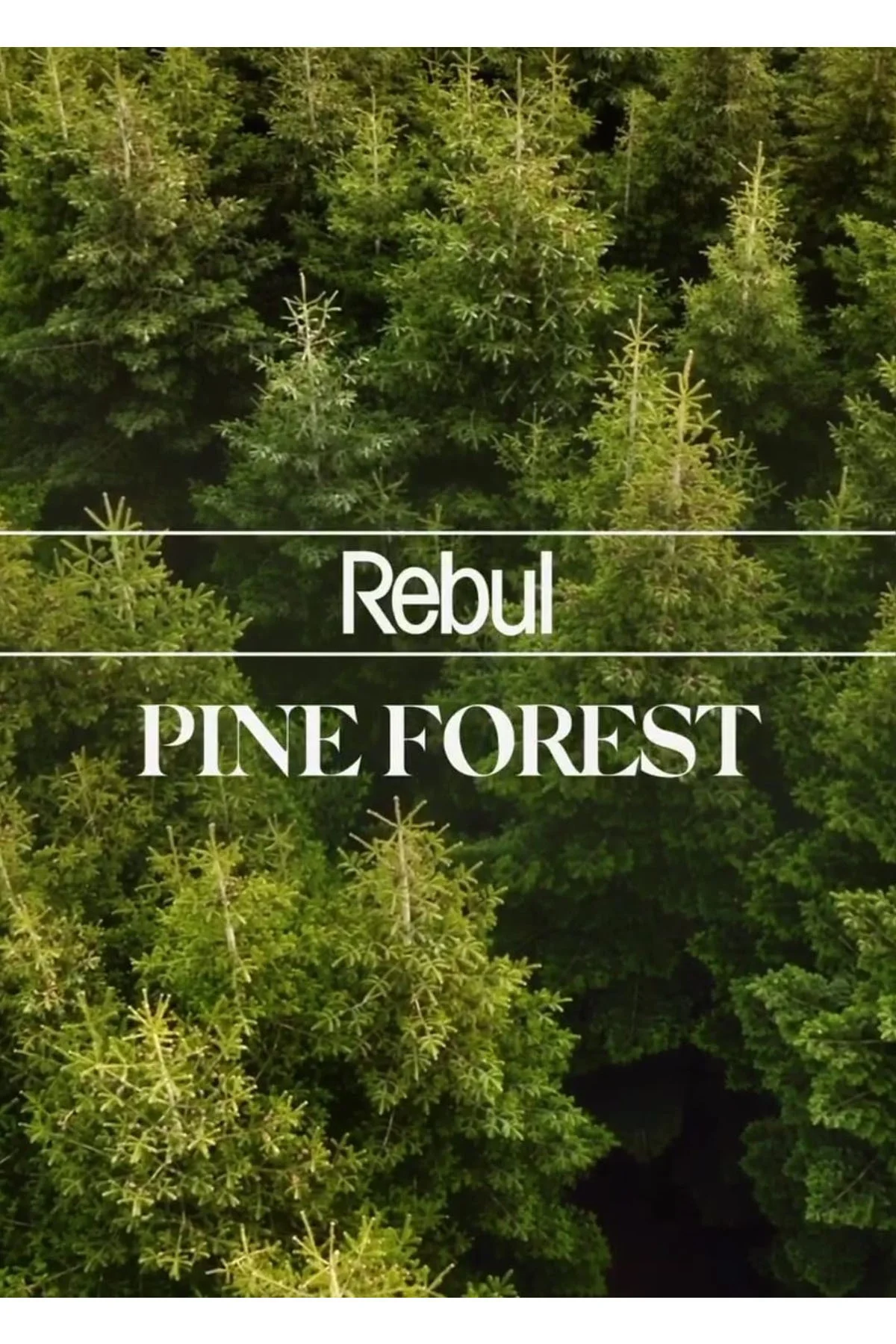 Dökme Kolonyalı Mendil Pine Forest Tekli 100 adet Cafe Otel - Rebul Görsel 2