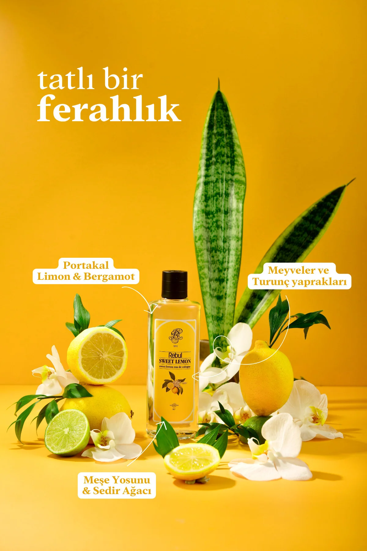 SWEET LEMON Edc 50 ml Sprey Pet Şişe Kolonya Tatlı Limon Kolonyası - Rebul Görsel 2
