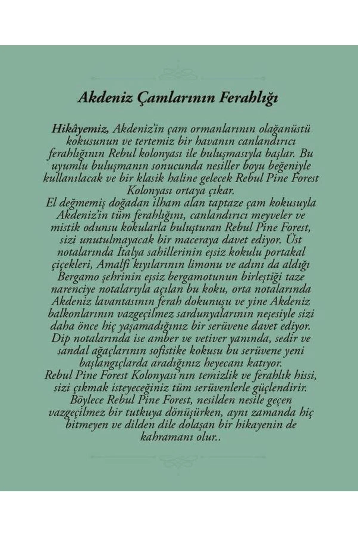 Pine Forest Edc 50 Ml Kolonya - Rebul Görsel 3