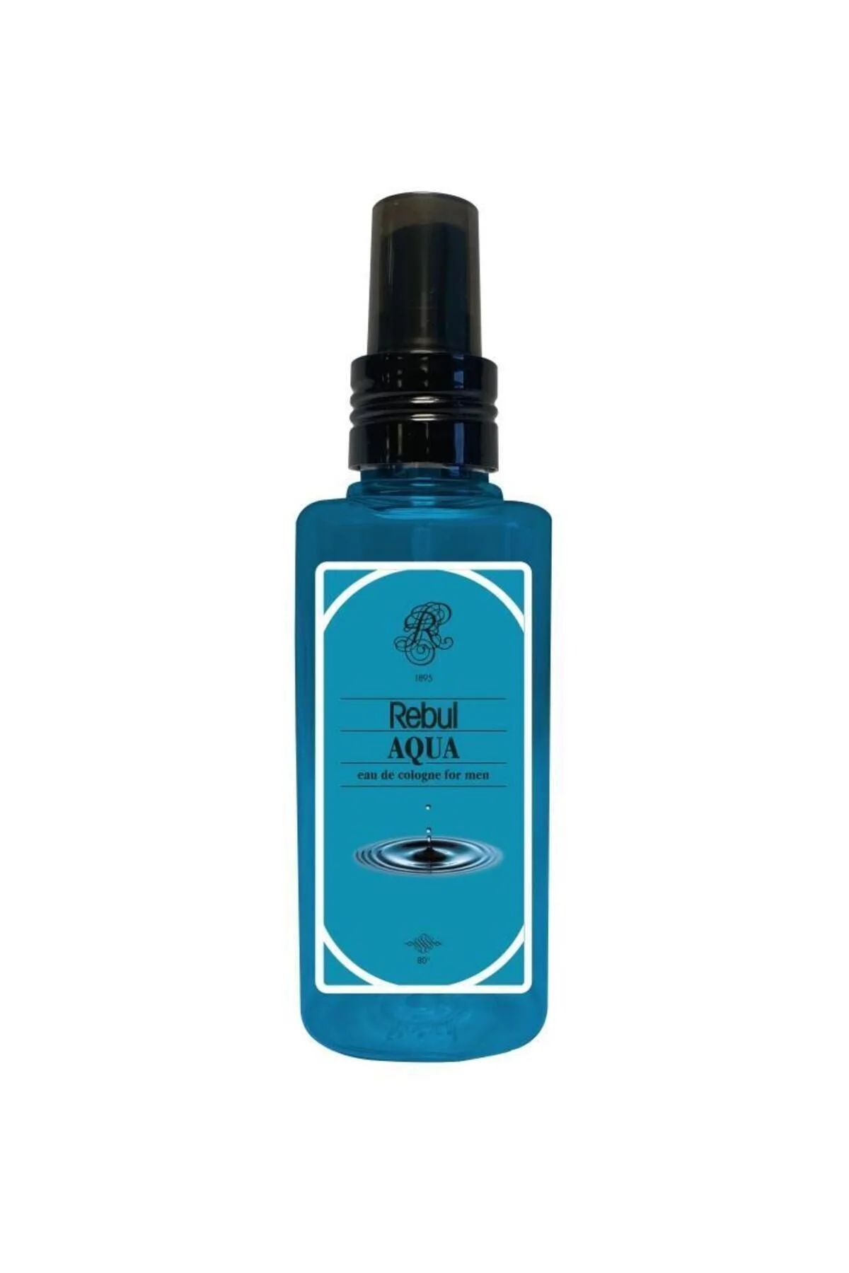 Aqua-Ice-Dark Spice-Pine Forest Plastik Şişe 125ml Set - Rebul Görsel 5