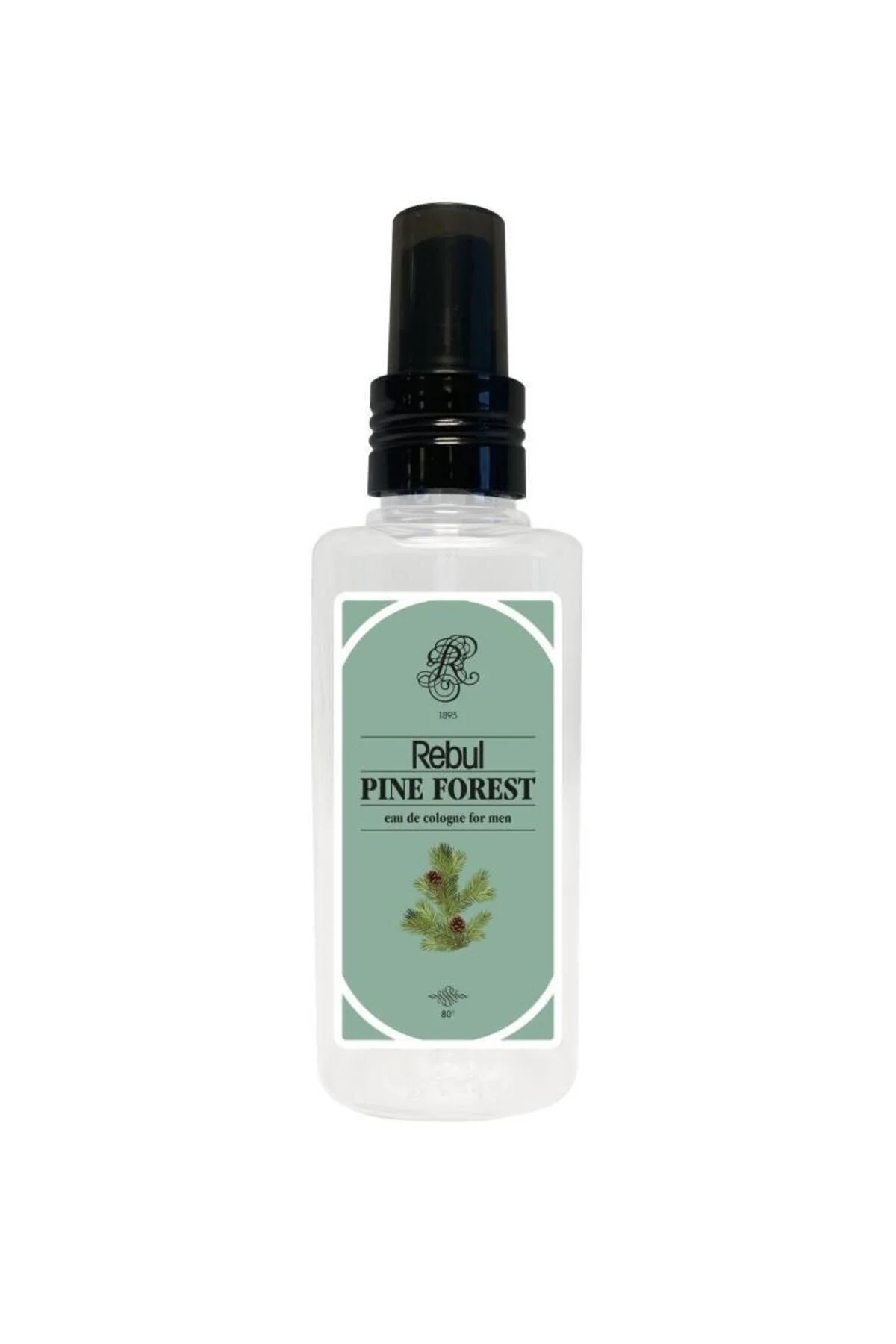 Aqua-Ice-Dark Spice-Pine Forest Plastik Şişe 125ml Set - Rebul Görsel 4