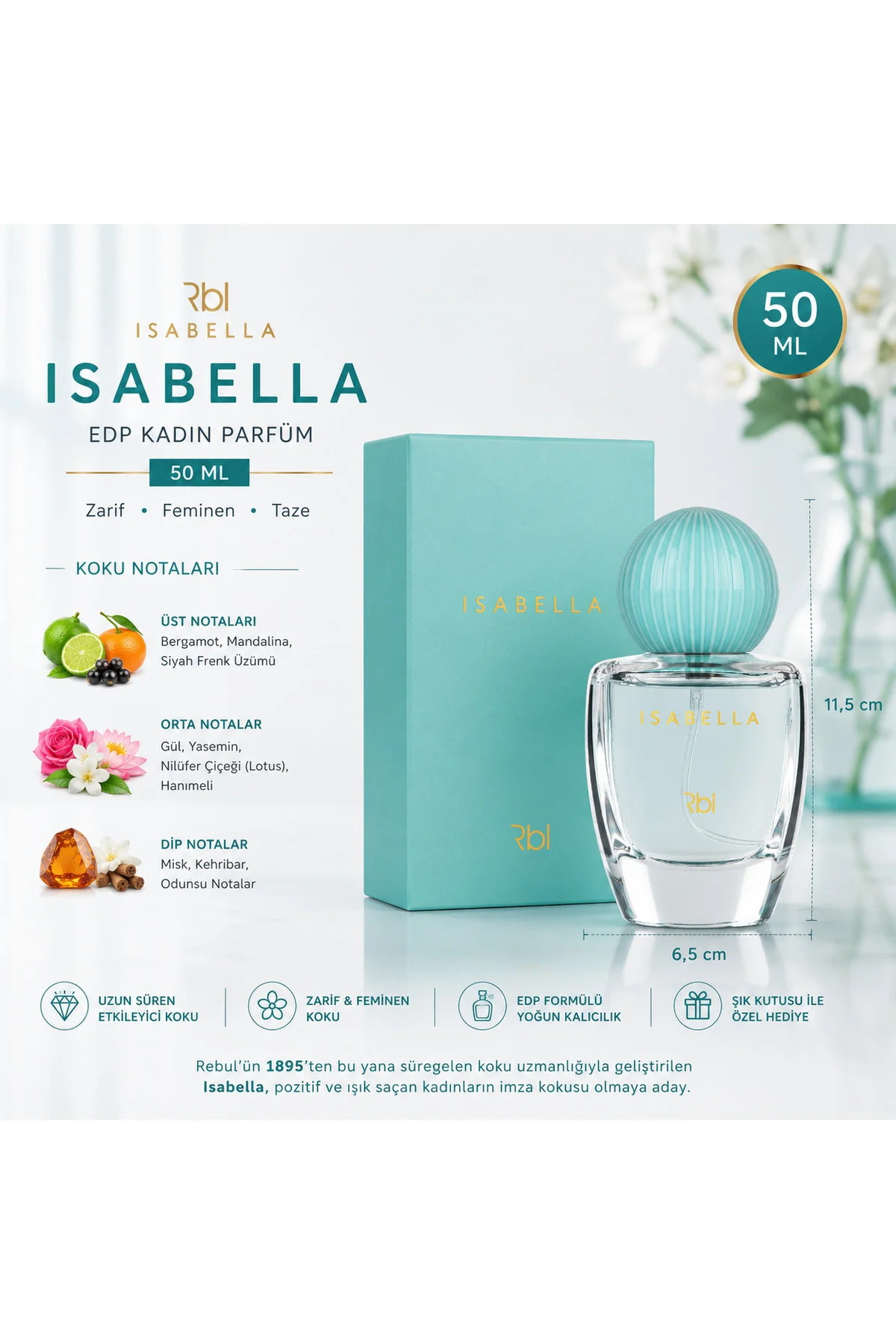 RBL Isabella EDP Kadın Parfümü 4x50 ml 4'lü Avantaj Seti - Rebul Görsel 2