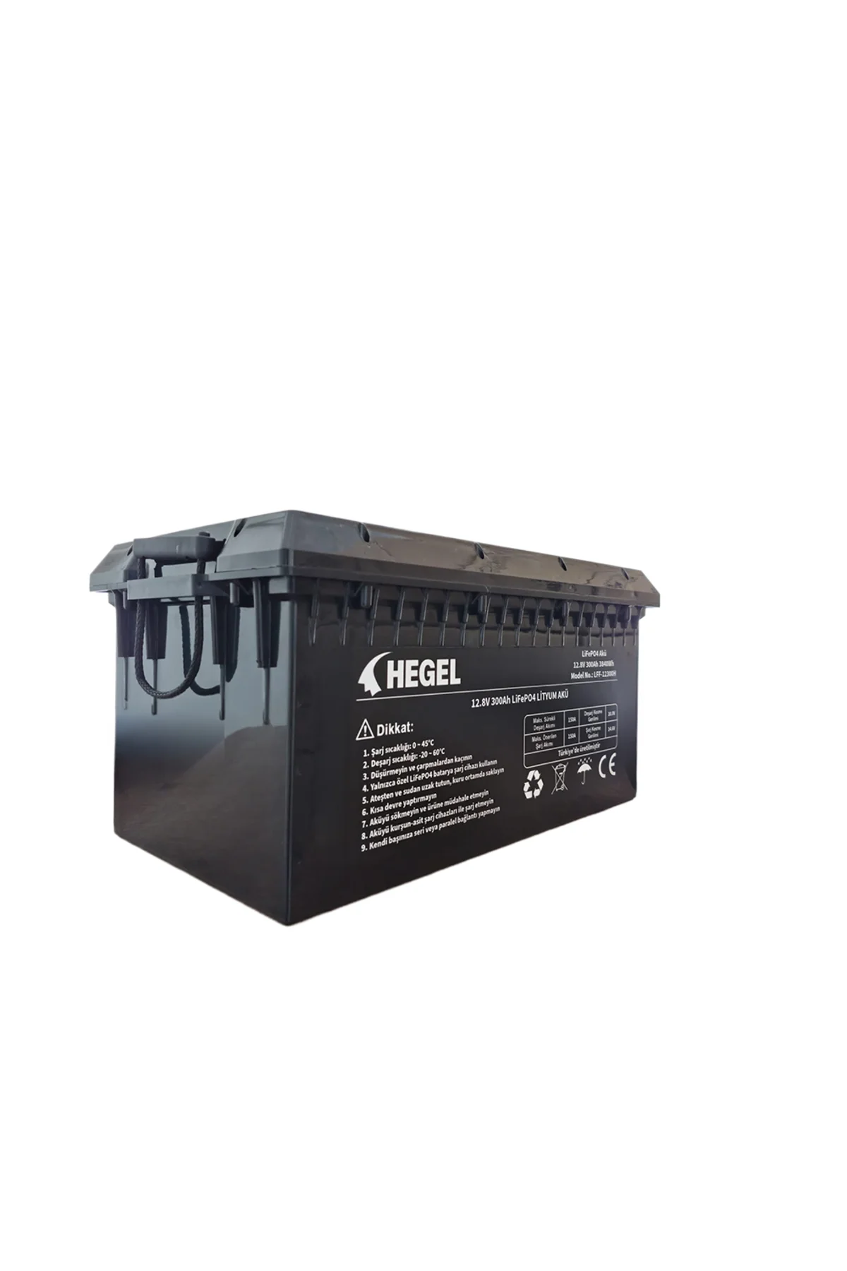 LİFEPO4 LİTYUM AKÜ 12.8V 300AH - Hegel Görsel 2