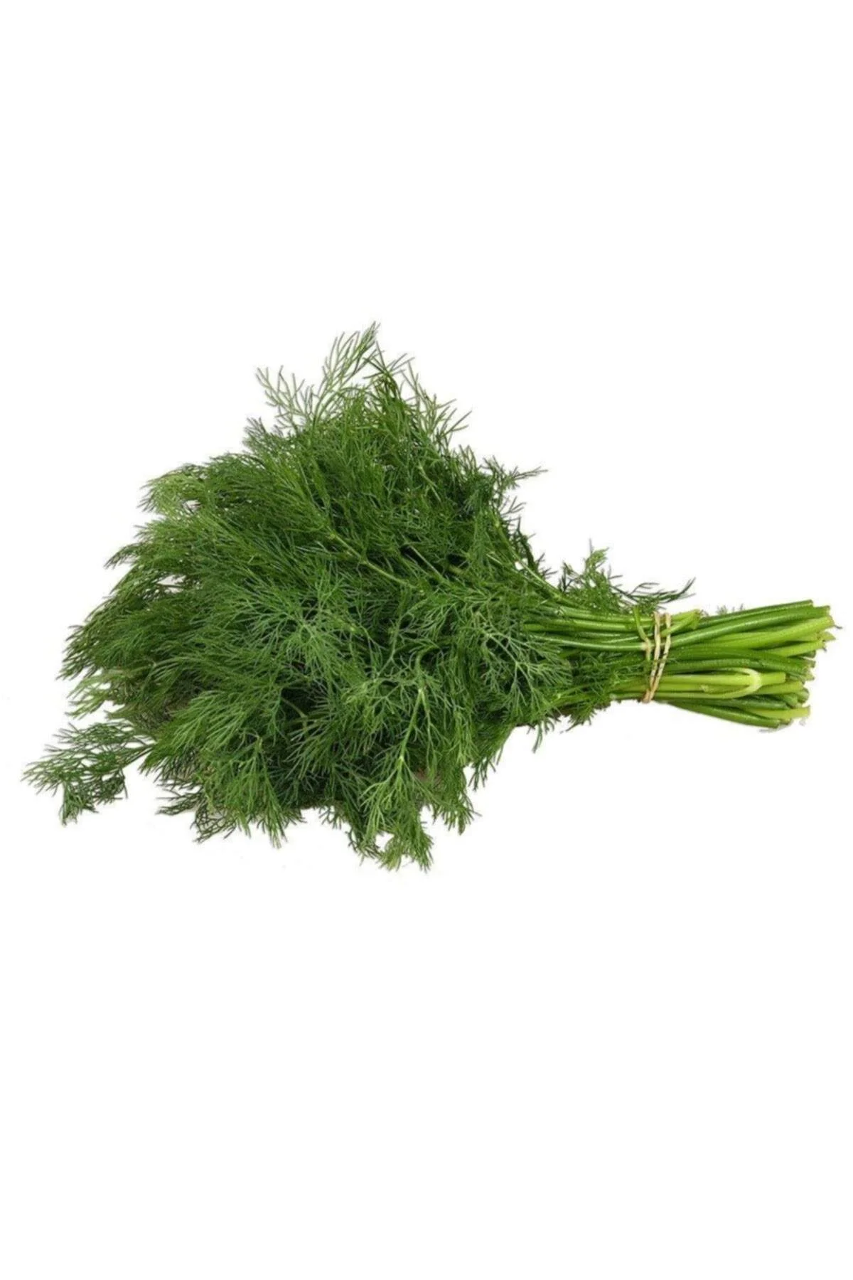 Dere Otu Tohumu 10 Gr - Just Cheap Store Görsel 5