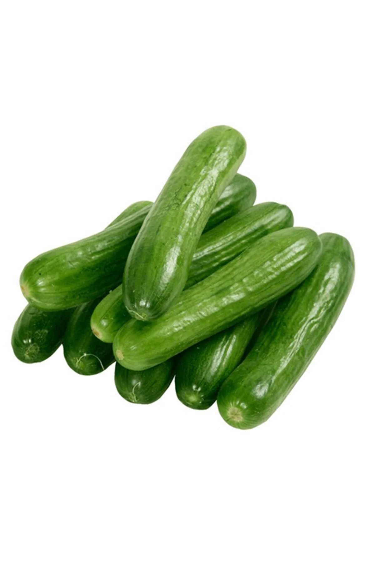 Hıyar Tohumu 20 Gr - Just Cheap Store Görsel 4