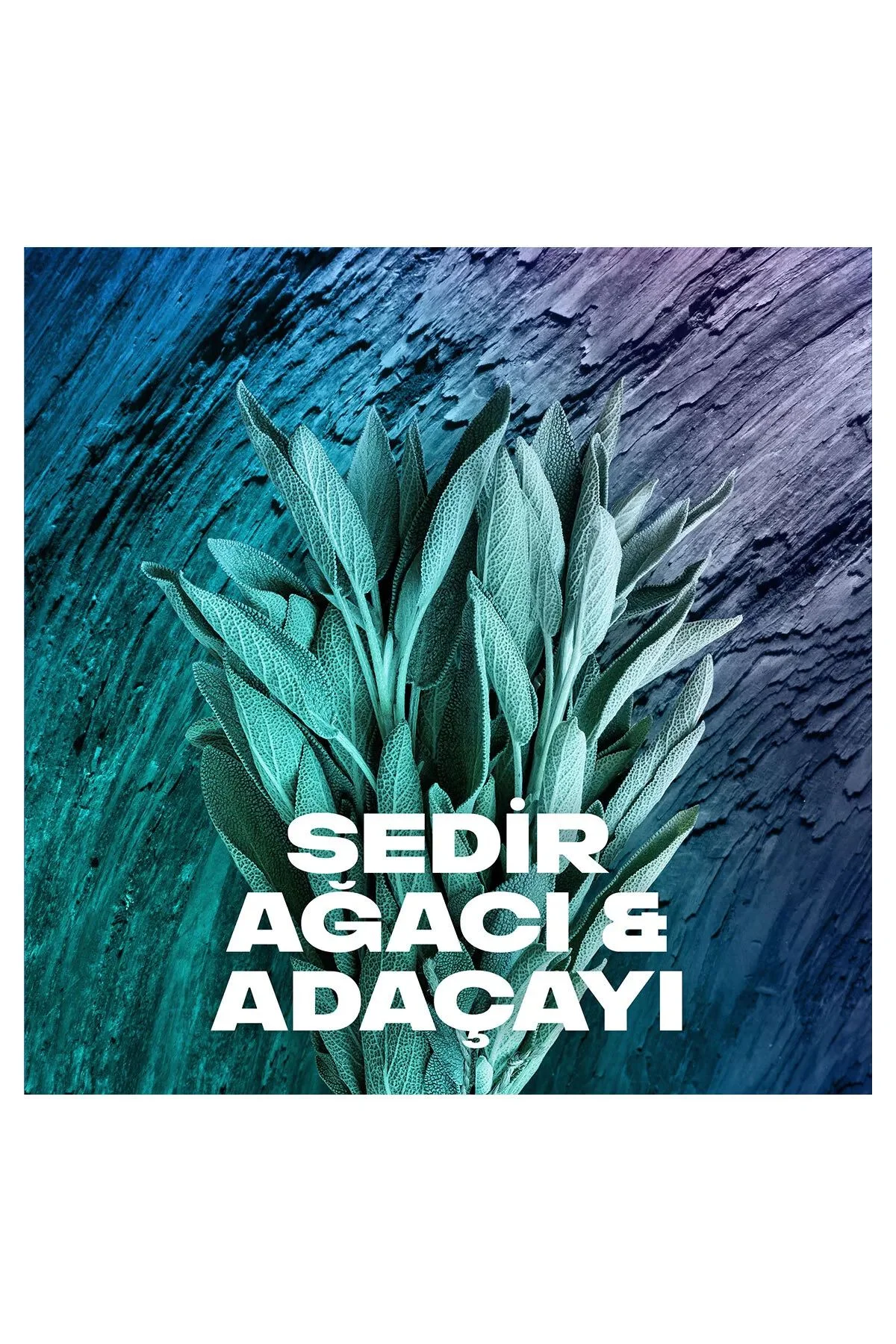 2 Adet Axe Erkek Sprey Deodorant Apollo 48 Saat Etkileyici Koku Vücut Spreyi 150 ml - Just Cheap Store Görsel 4