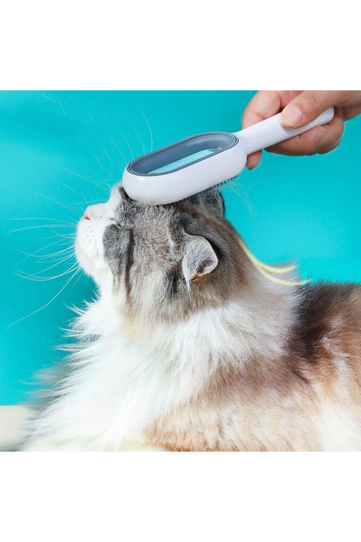 Evcil Hayvanlar İçin Çift Taraflı Pet Fırçası Nemli Tüy Tarama Tarağı - Just Cheap Store Görsel 3