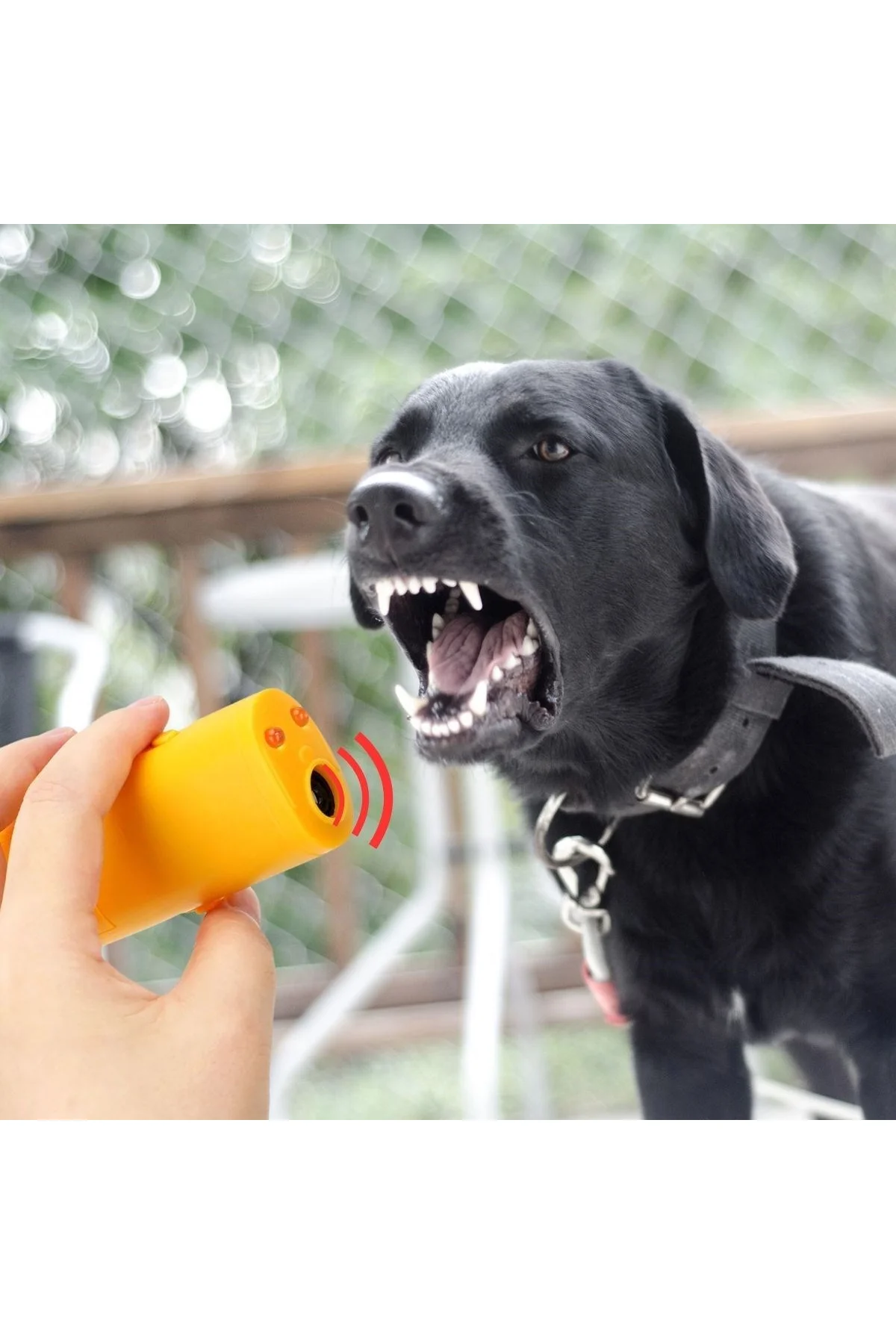 Ultrasonik Köpeksavar Köpek Kovucu Köpek Kornası Eğitim Cihazı (4741) - Just Cheap Store Görsel 2
