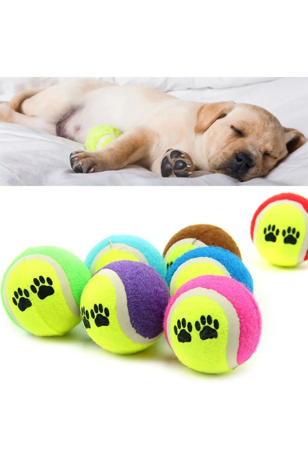 3&amp;apos;lü Renkli Desenli Tenis Topu Kedi Köpek Oyuncağı (4741) - Just Cheap Store Görsel 5