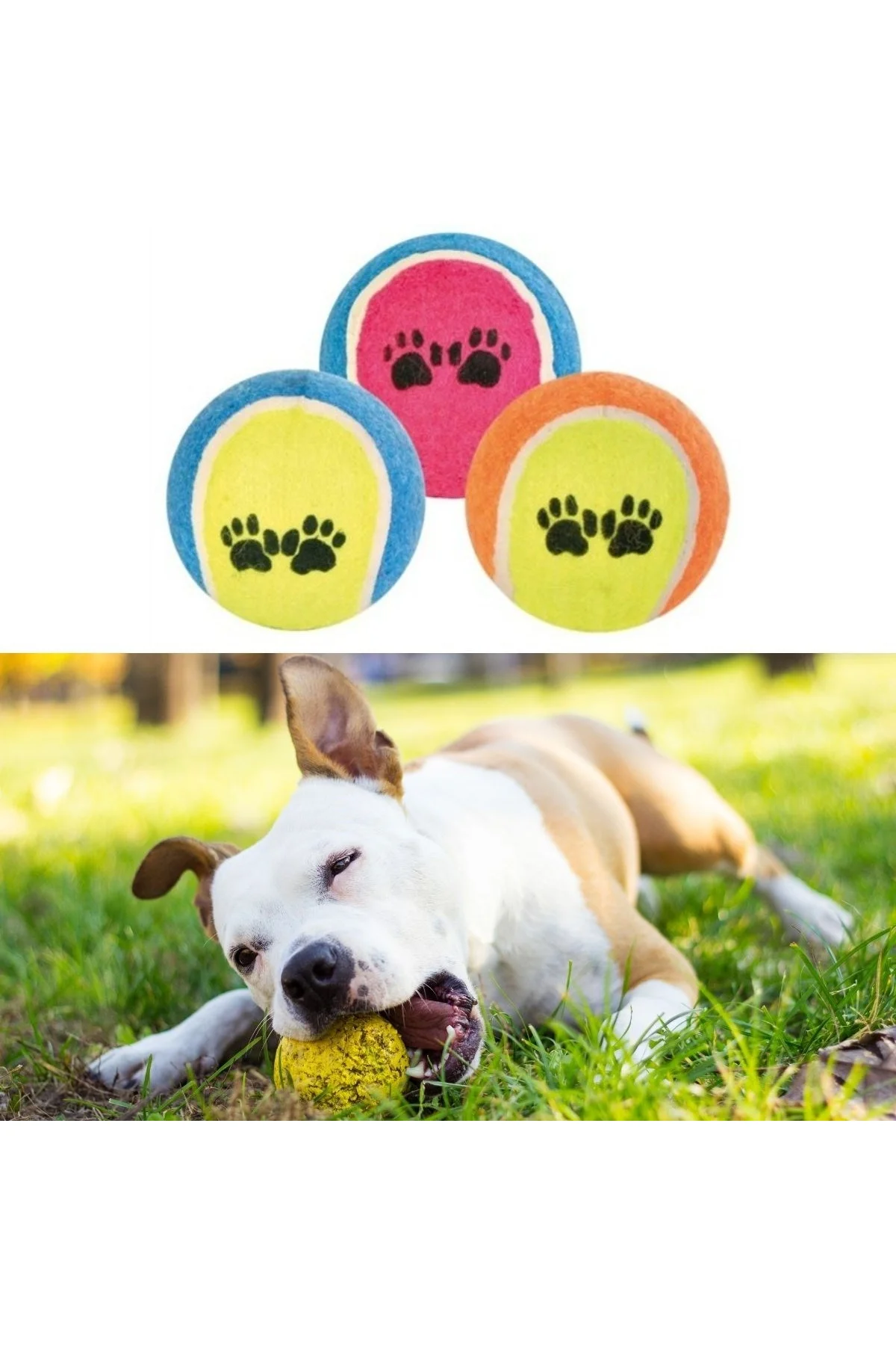 3&amp;apos;lü Renkli Desenli Tenis Topu Kedi Köpek Oyuncağı (4741) - Just Cheap Store Görsel 2