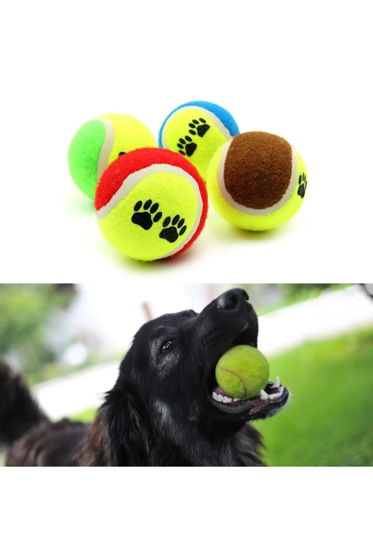 3&amp;apos;lü Renkli Desenli Tenis Topu Kedi Köpek Oyuncağı (4741) - Just Cheap Store Görsel 3