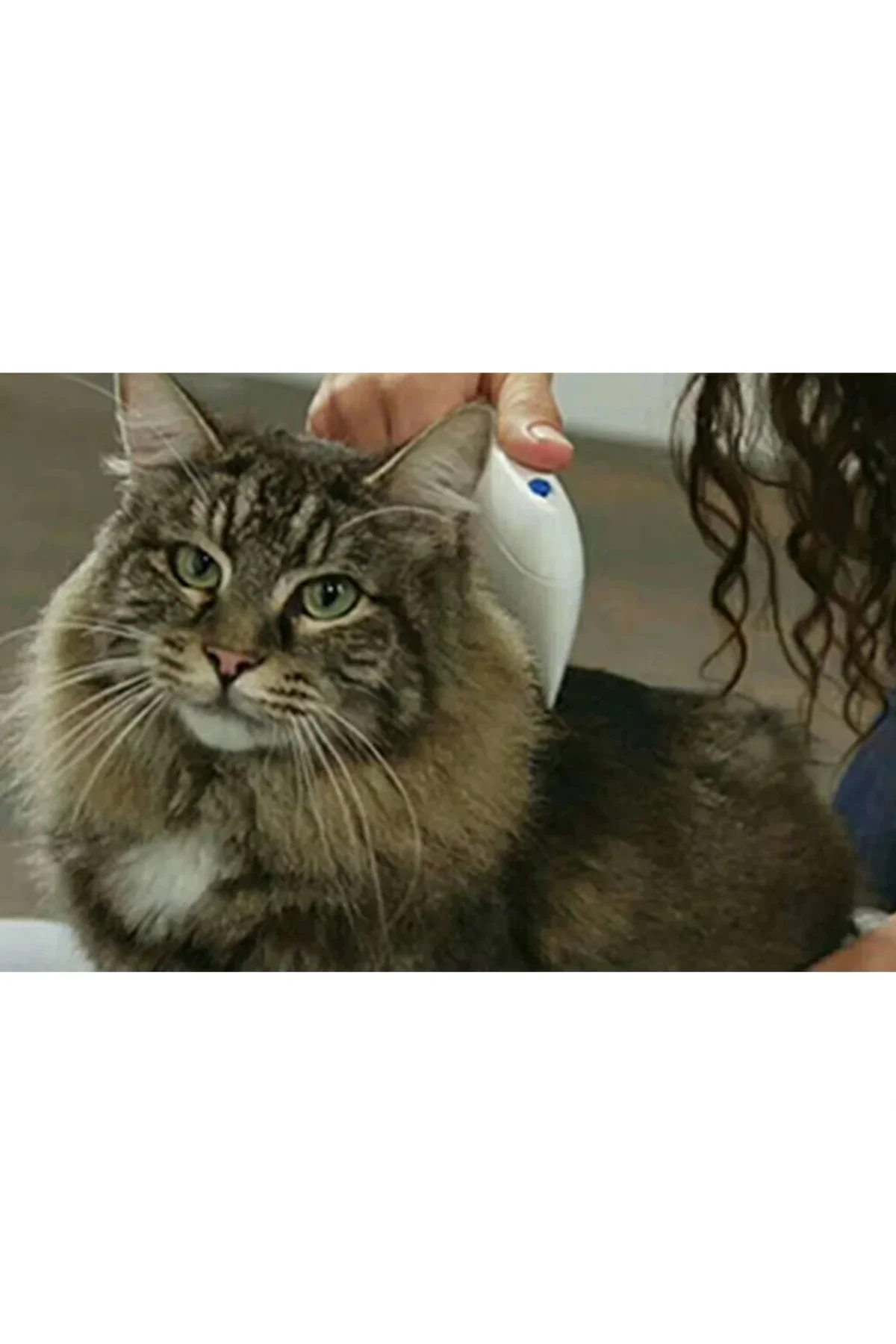 Flea Doctor Pet Hayvanlar İçin Haşere Öldürücü Pilli Pire Tarağı - Just Cheap Store Görsel 3