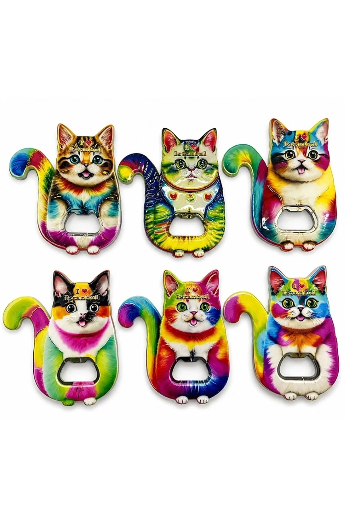 Kedi Tasarımı İstanbul Temalı Buzdolapı Süsü Magnet Alk5407