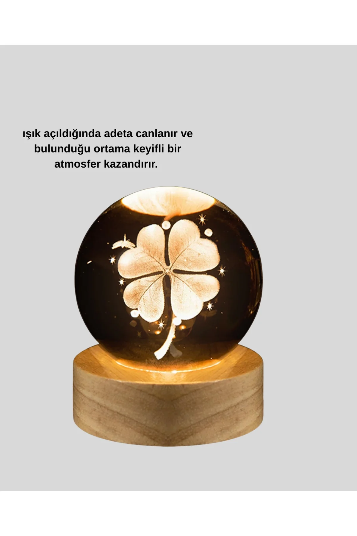 Yonca Figürlü Cam Küre Usb Işıklı Ahşap Tabanlı Dekoratif Masa Lambası - Just Cheap Store Görsel 3