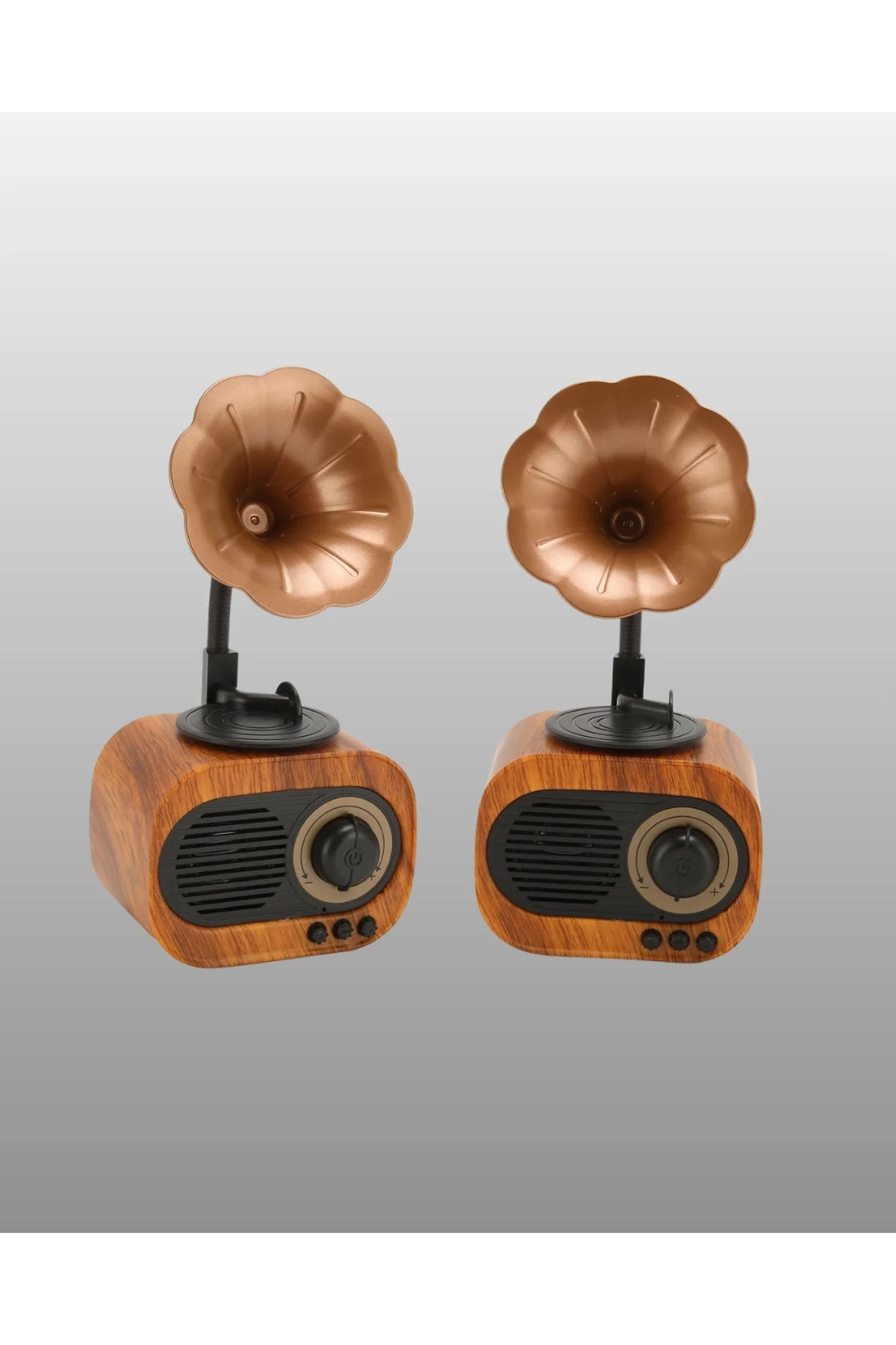 Kablosuz Retro Radyo Hoparlör 5w Güçlü Ses Usb Hafıza Kart Destekli Yeni Nesil - Just Cheap Store Görsel 2