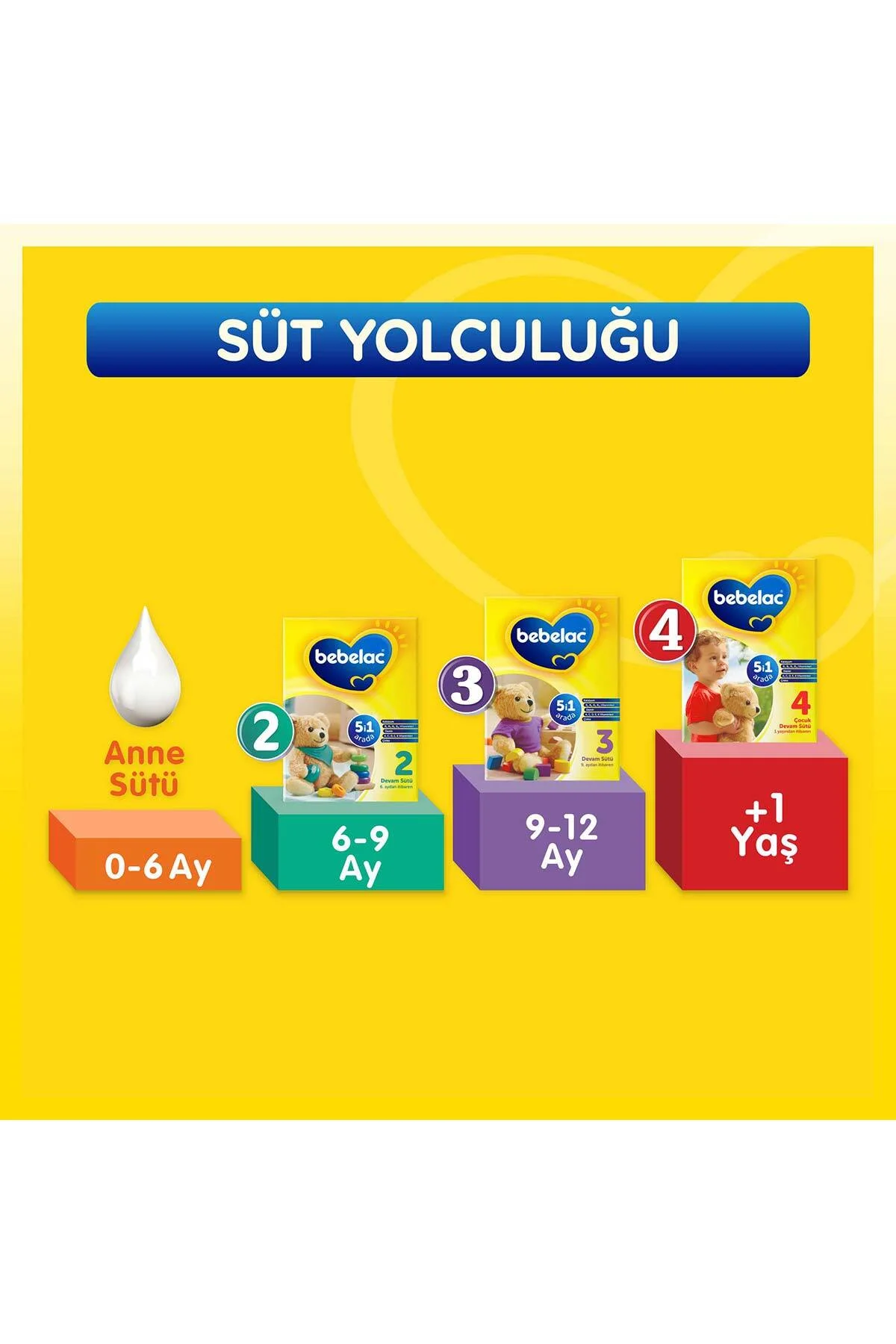 2 Devam Sütü 6-9 Ay 800 Gr - Bebelac Görsel 4