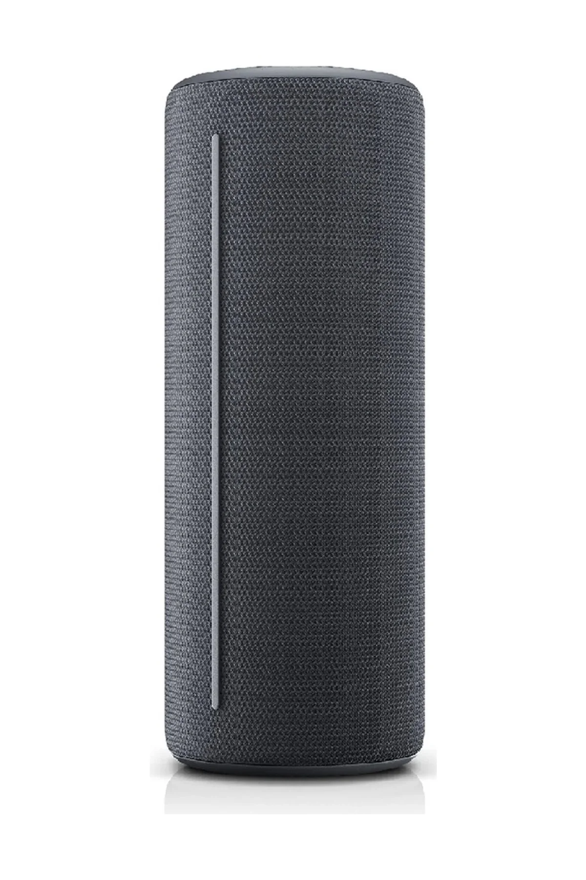 Loewe We Hear 1 Bluetooth Hoparlör Gri - Loewe Görsel 4