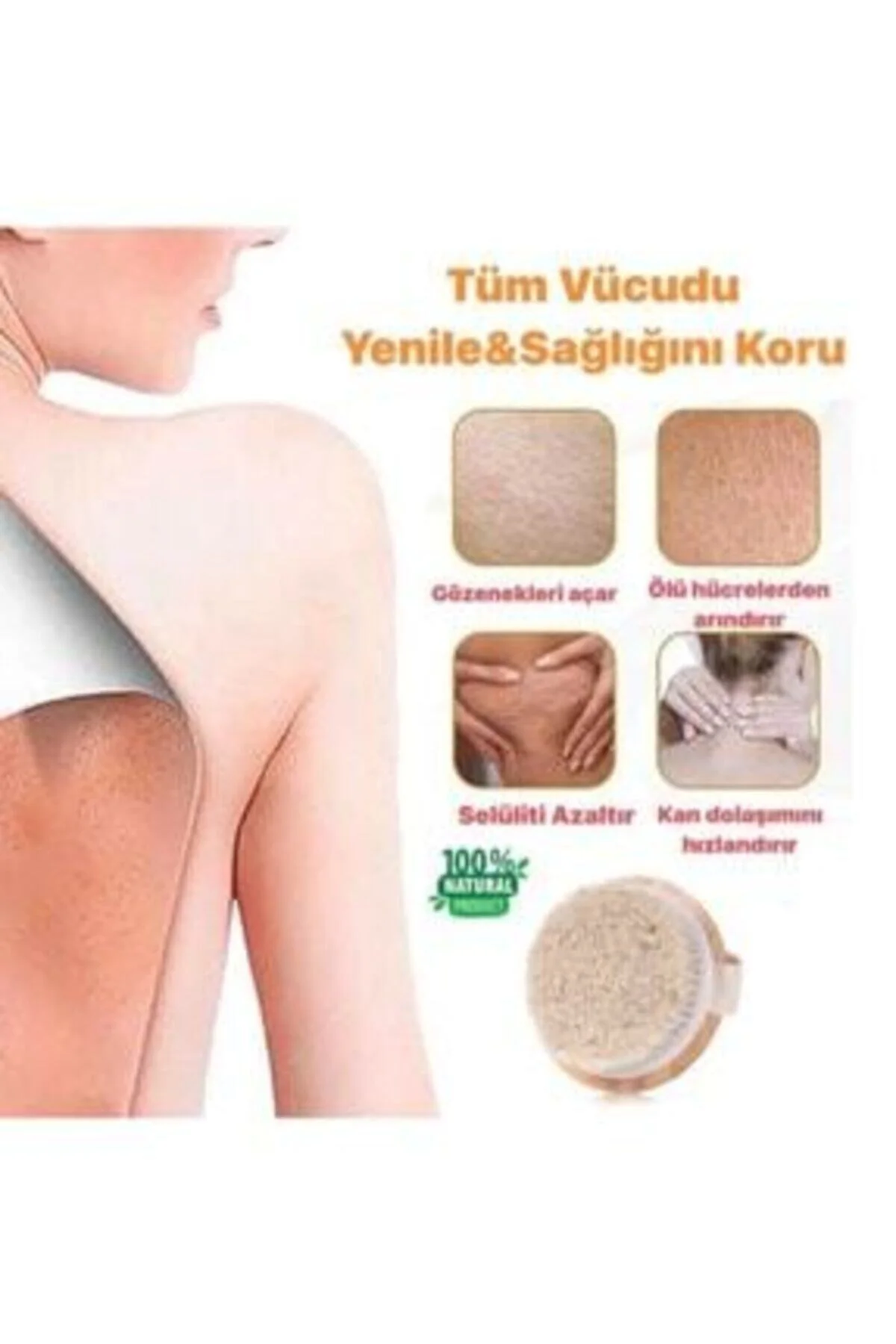 %100 Doğal At Kılı Selülit Fırçası Horse-round - Sildne Görsel 3