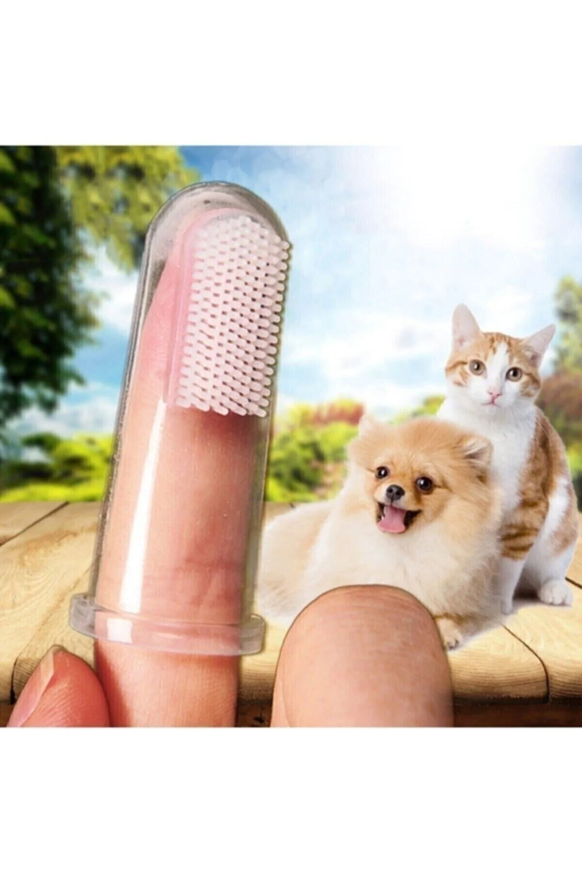 Kedi Ve Köpek Için Parmak Diş Fırçası, Saklama Kutulu