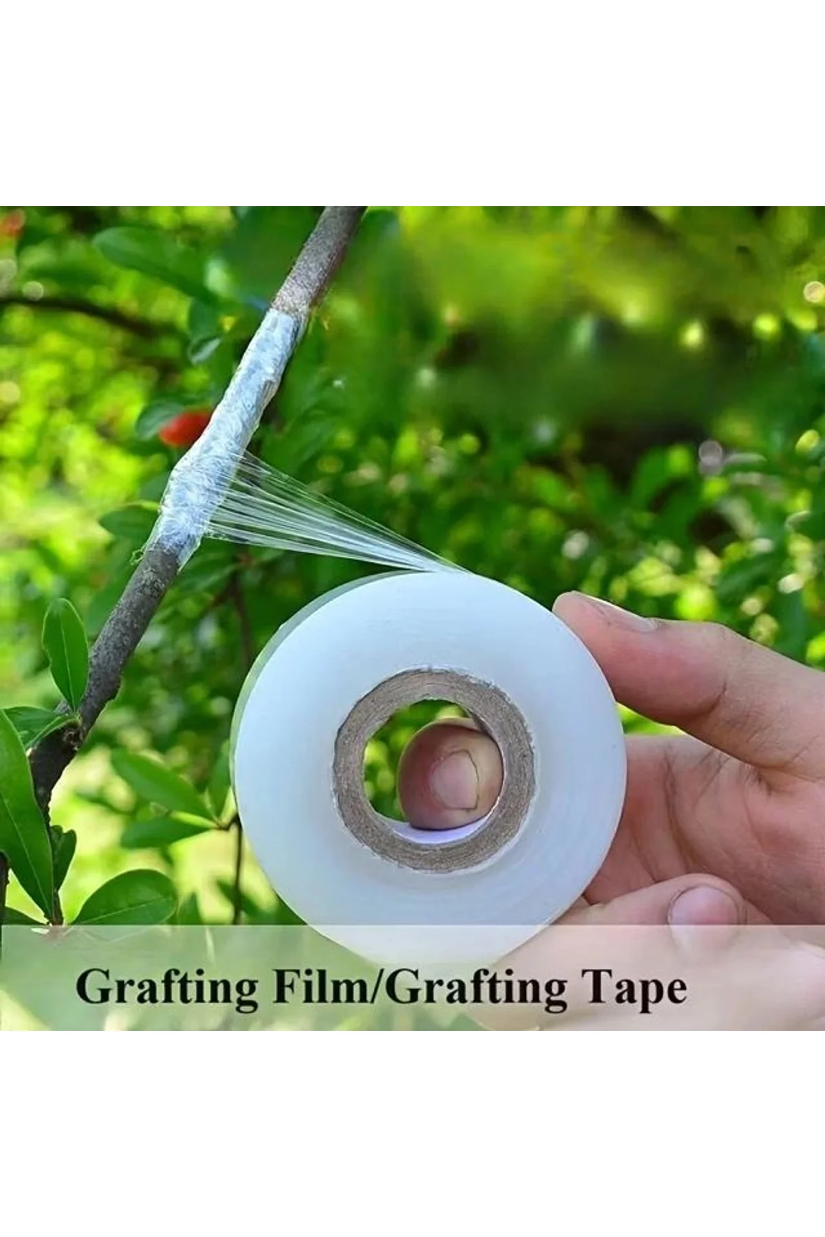 5 Cm Aşı Streçi 200 Metre - Profesyonel Fidan Ve Ağaç Aşı Bandı (yüksek Esnek) - Just Cheap Store Görsel 4