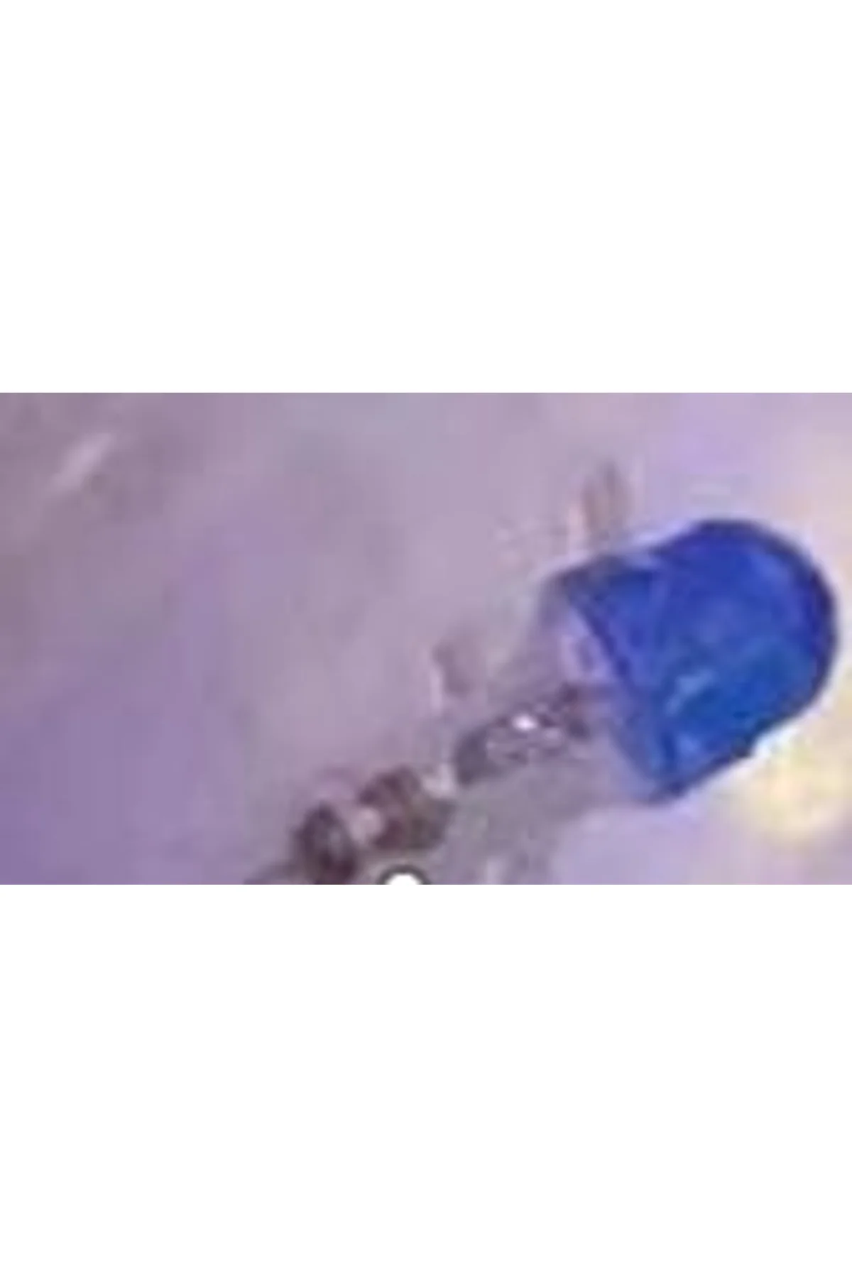 10m 100 Led Damla Uçlu Led Işık Mavi Işık Şeffaf Kablo Mzxx3-13 - Just Cheap Store Görsel 2