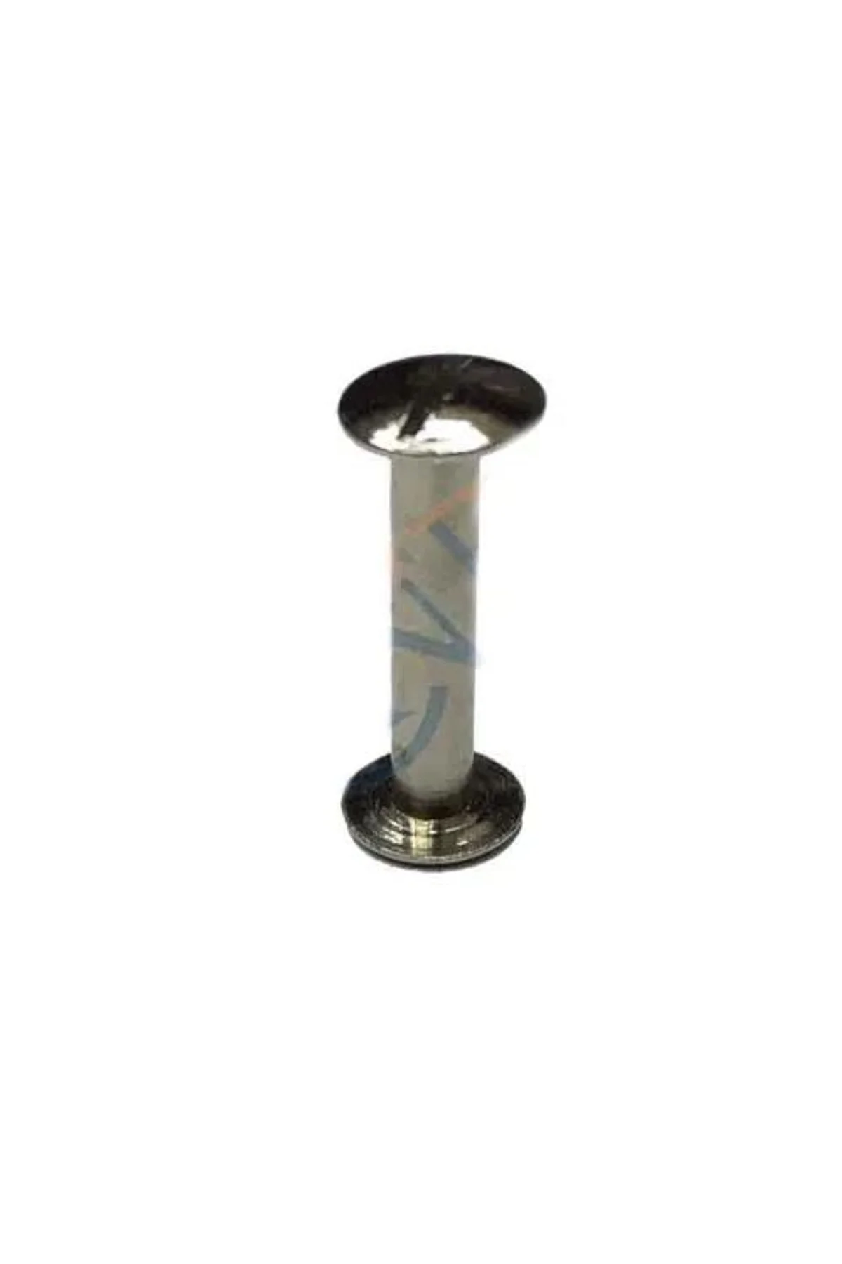 Cilt Menü, Katalog, Kartela Vidası, 20 Mm - Nikel, 1 Adet