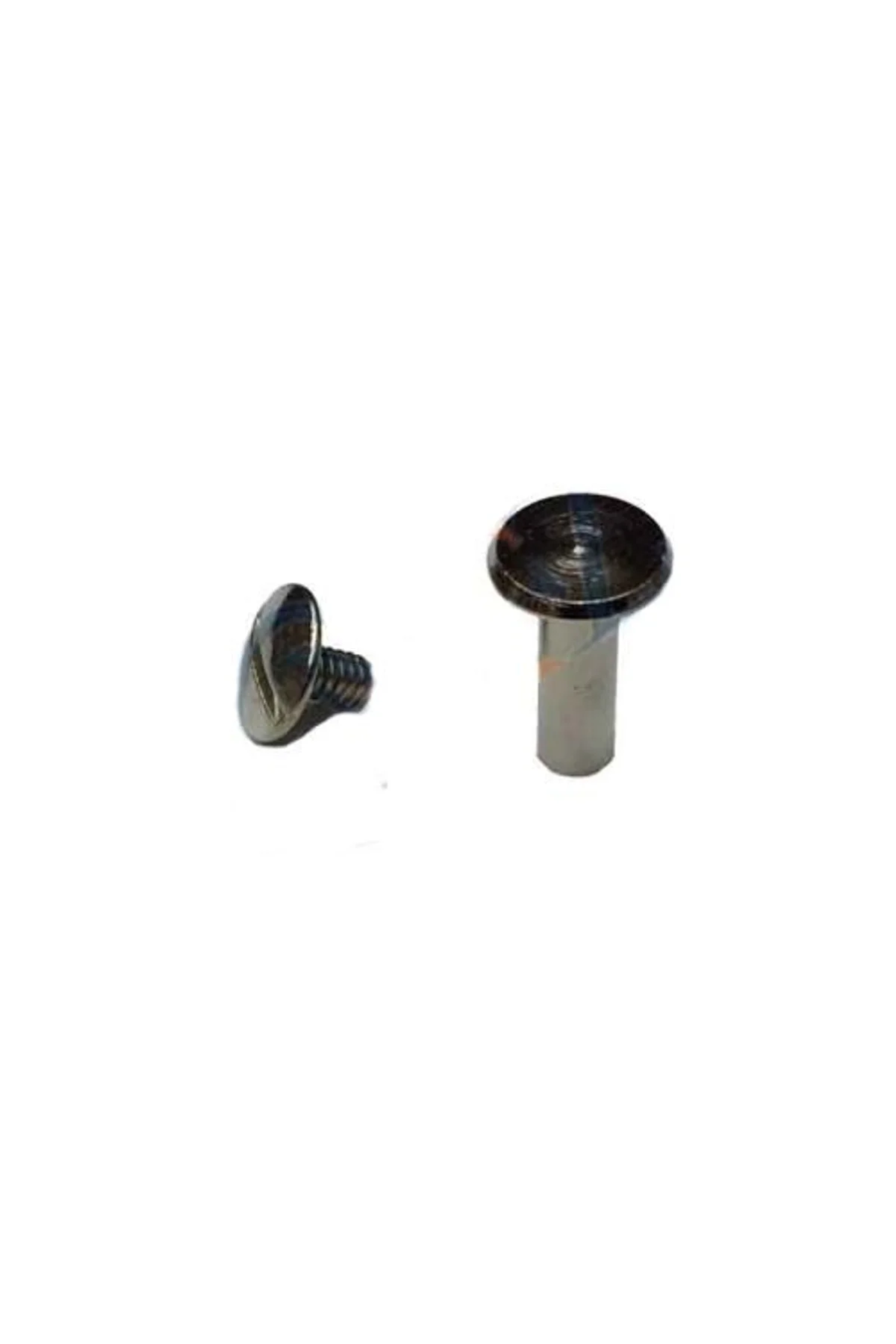 Cilt Menü, Katalog, Kartela Vidası, 6 Mm - Nikel, 1 Adet - Just Cheap Store Görsel 2