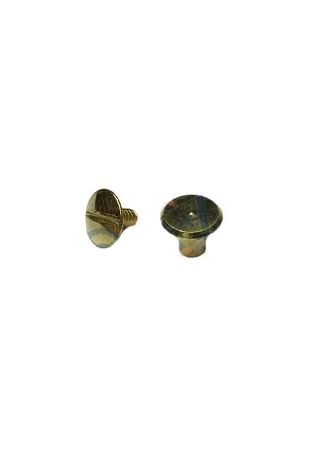 Cilt Menü, Katalog, Kartela Vidası, 6 Mm - Sarı, 1 Adet