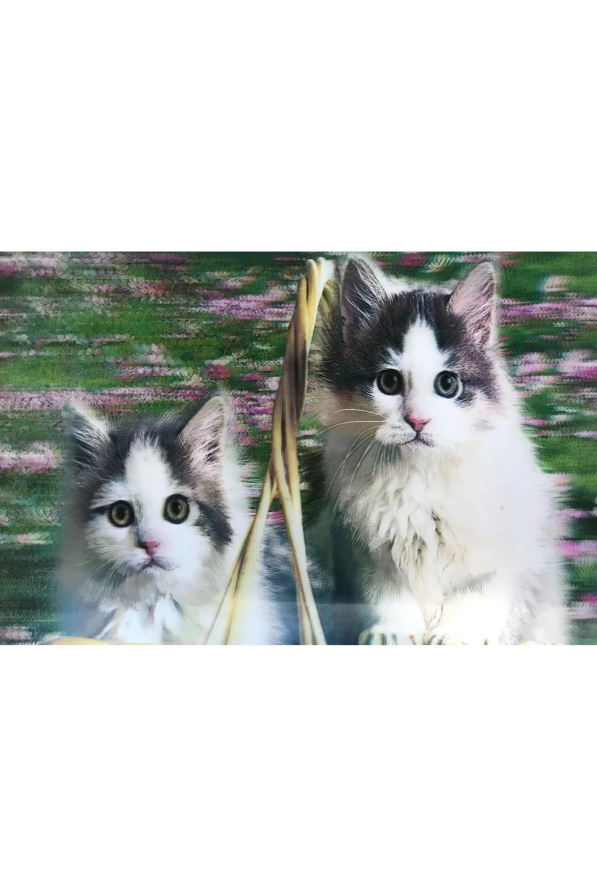 3 Boyutlu Resim Sevimli Kediler İkili Kedi Resmi Tablosu 40x60 Cm