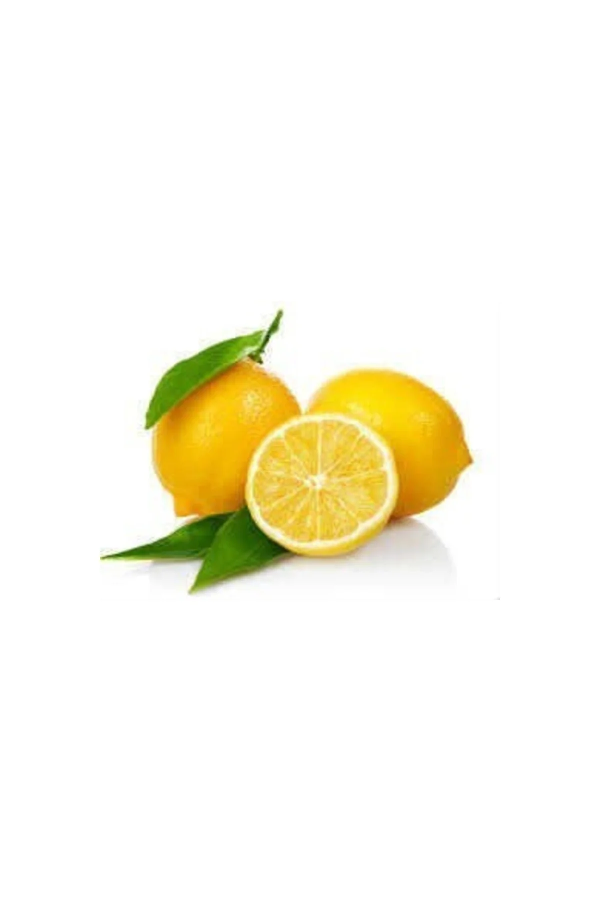 Limon Bonesi / 10 Adet / Bitki Çayı Bonesi - PAZARIZ Görsel 2