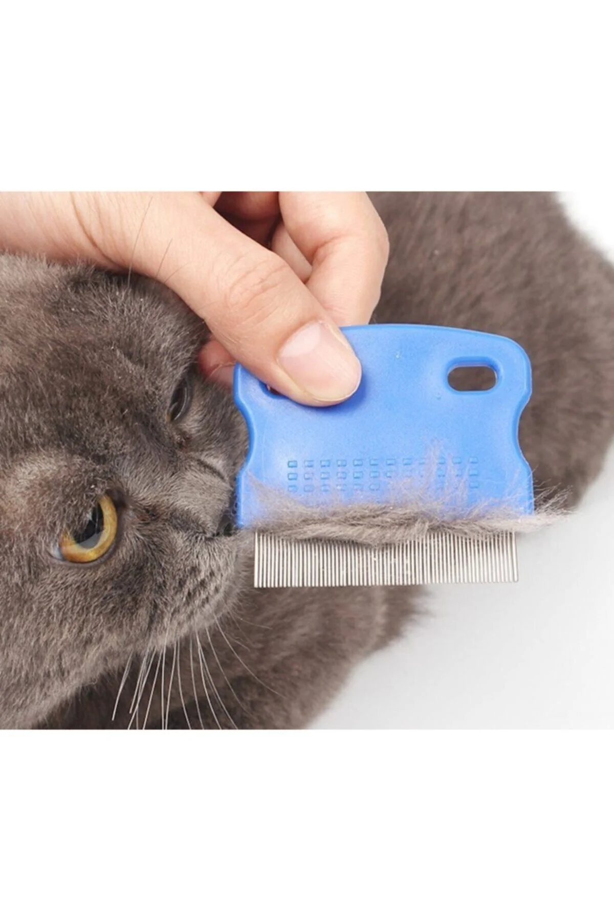 Kedi Köpek Bit Ve Pire Tarağı - rennway Görsel 2