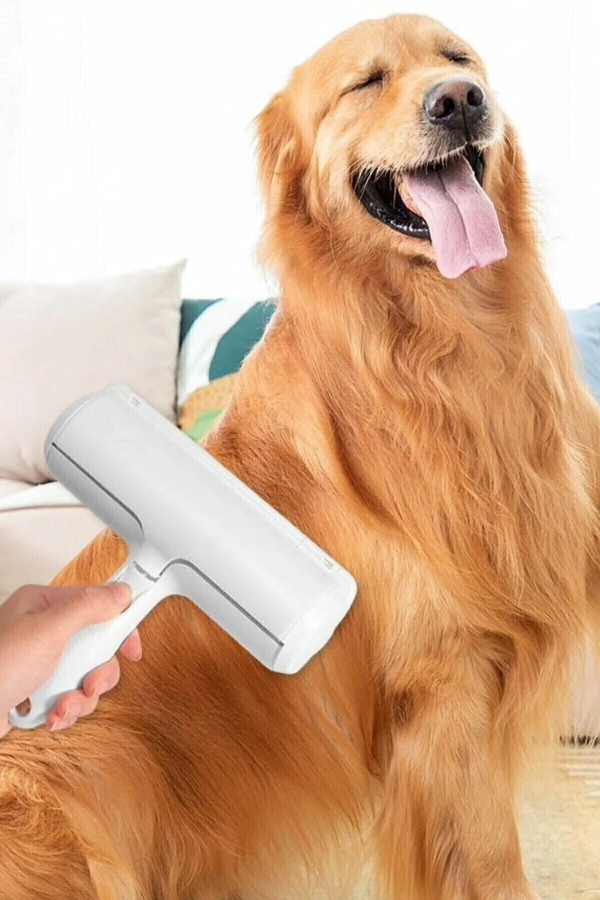Evcil Hayvan Kedi Köpek Tüy Toplama Fırçası Hazneli Gırgır Tüy Toplayıcı - pazariz Görsel 2