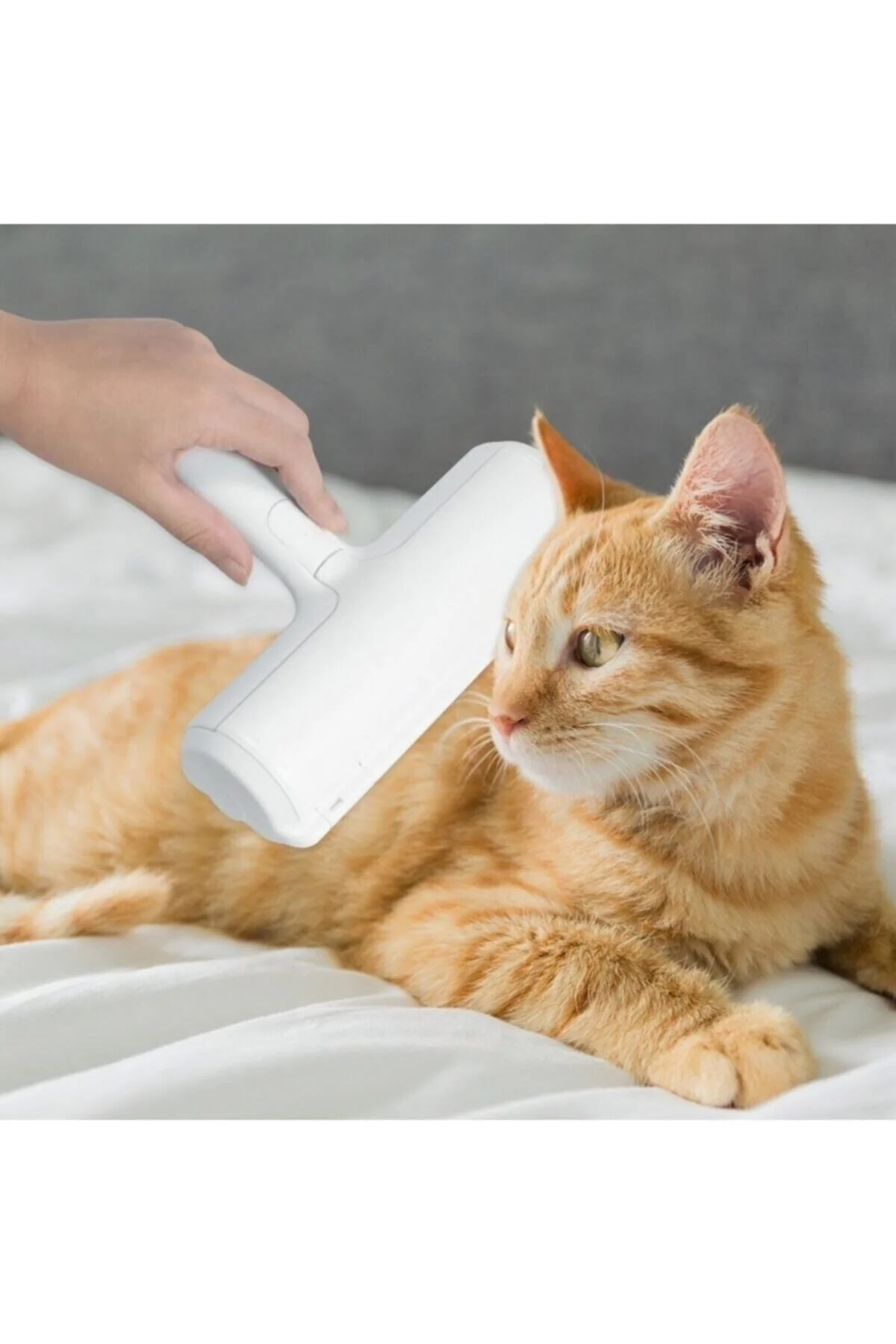Hazneli Kedi Köpek Evcil Hayvan Kazak Kıyafet Elbise Halı Yatak Tüy Temizleyici Kıl Toz Topl